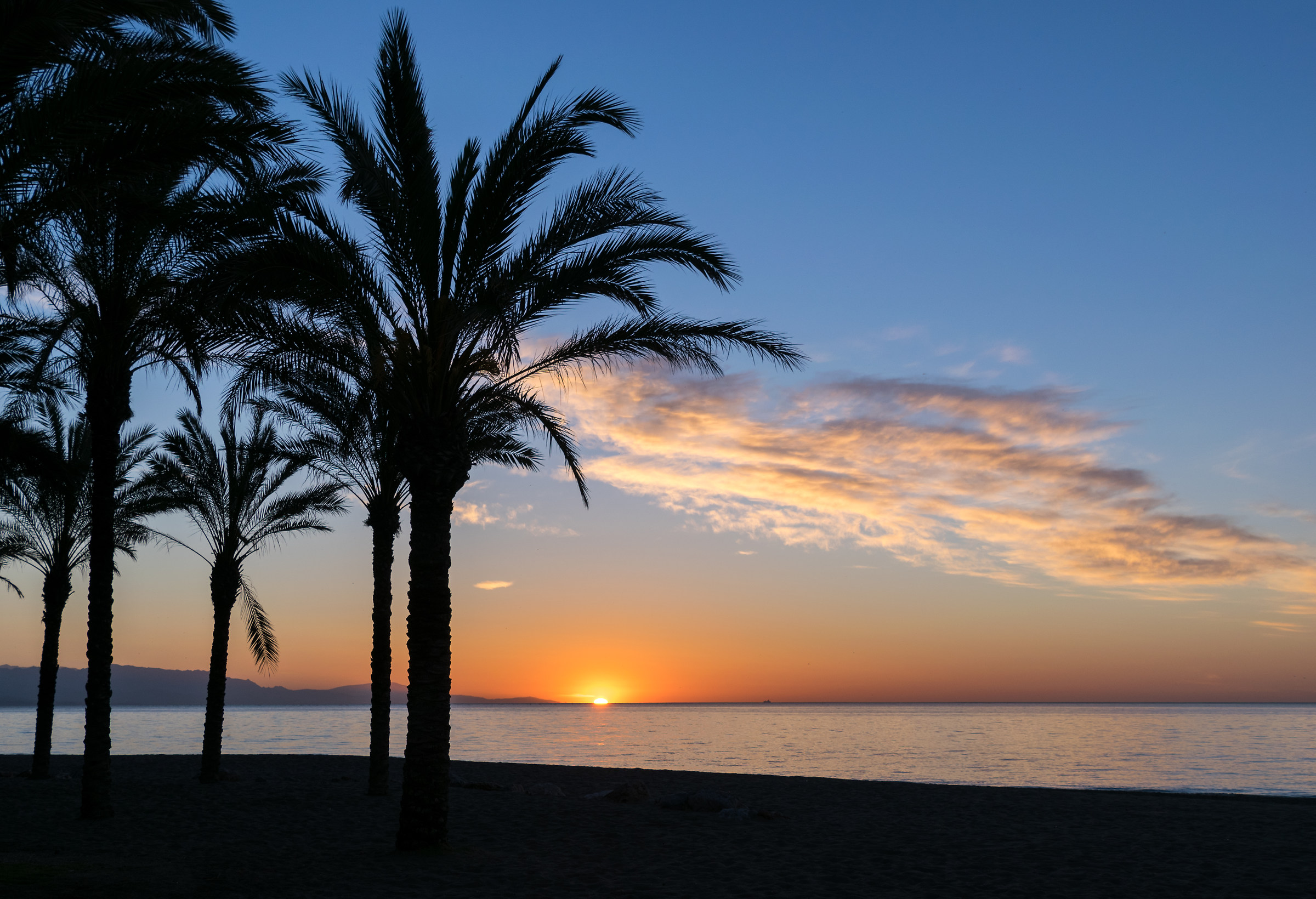 Appena ricevuto alla spiaggia in tempo ......