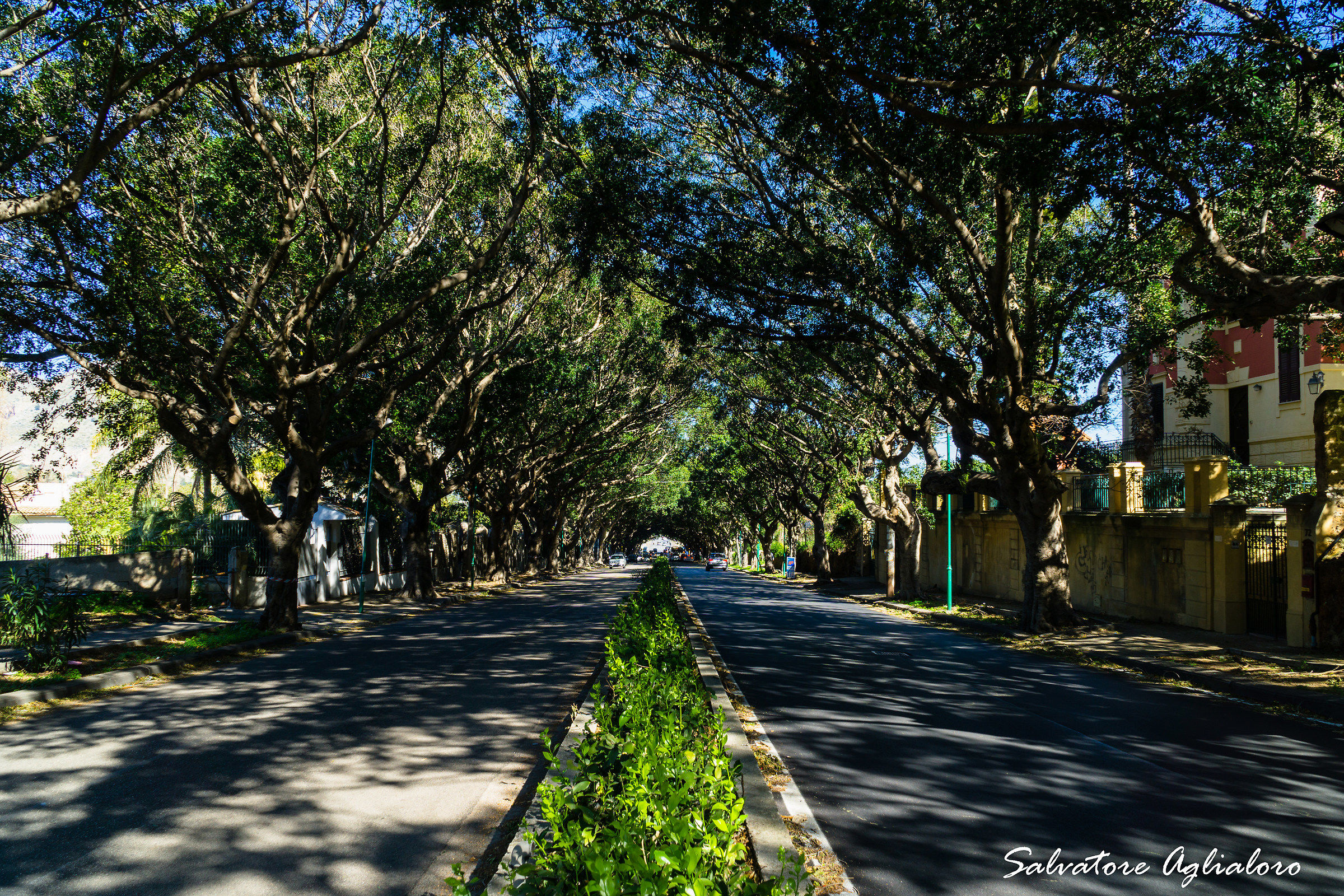 ..arrivando in Mondello