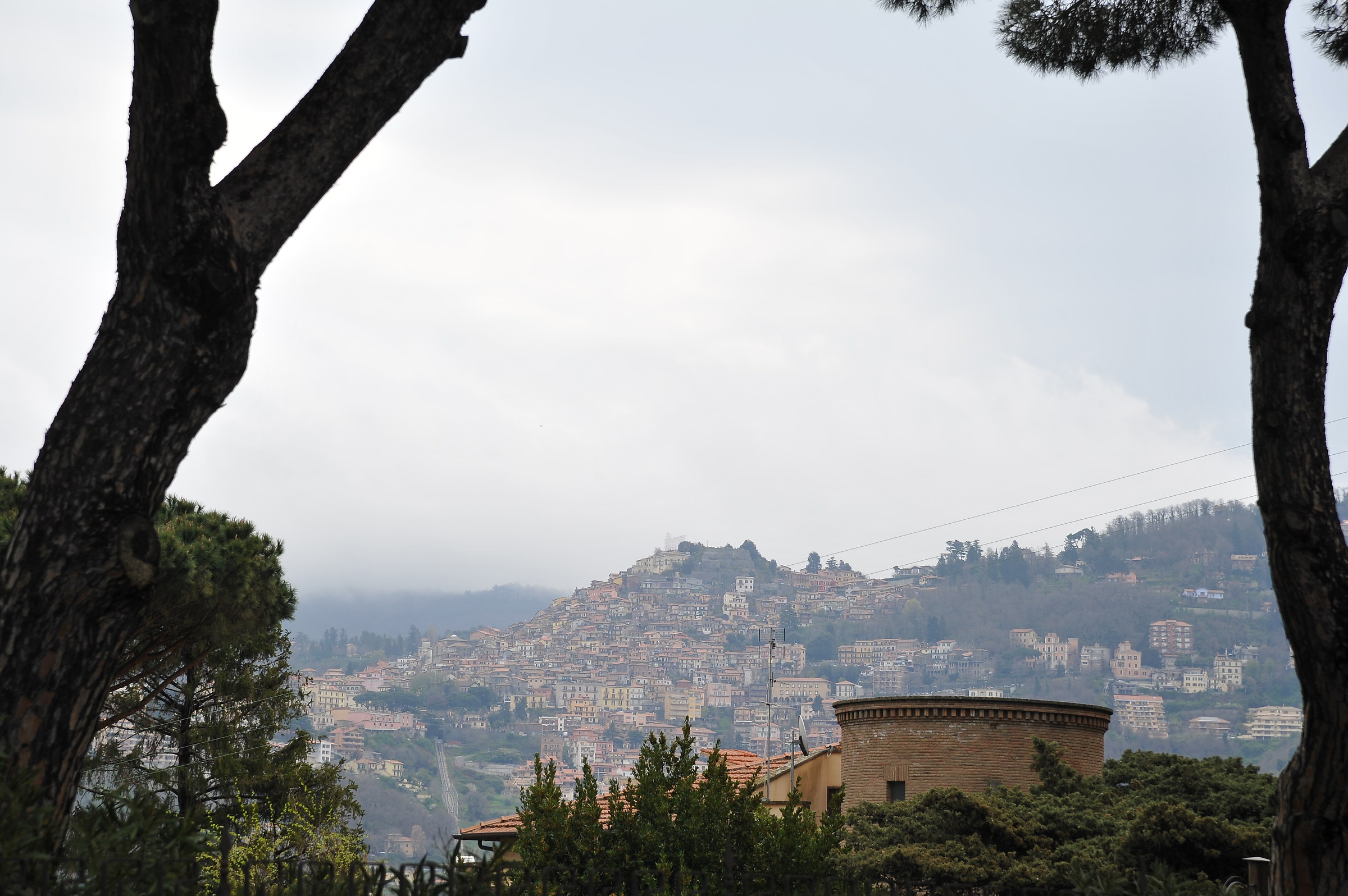 Between the two pine trees ... the regularly.