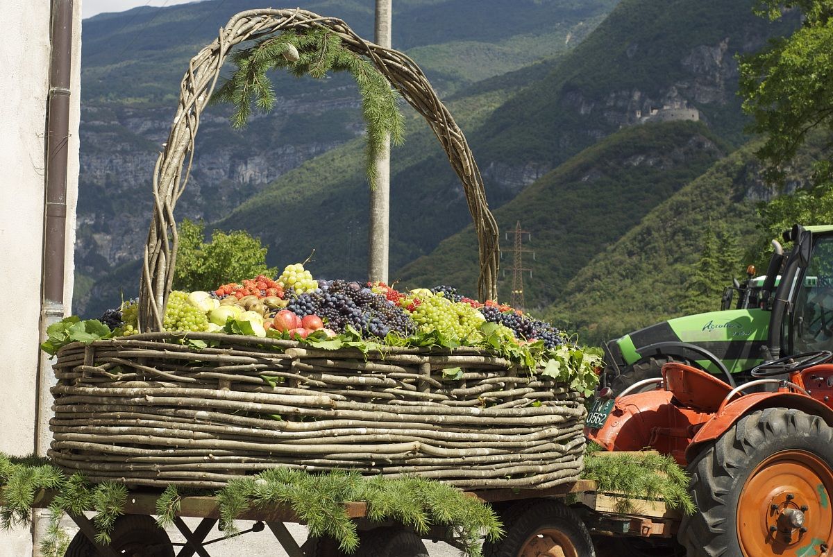 basket in celebration!
