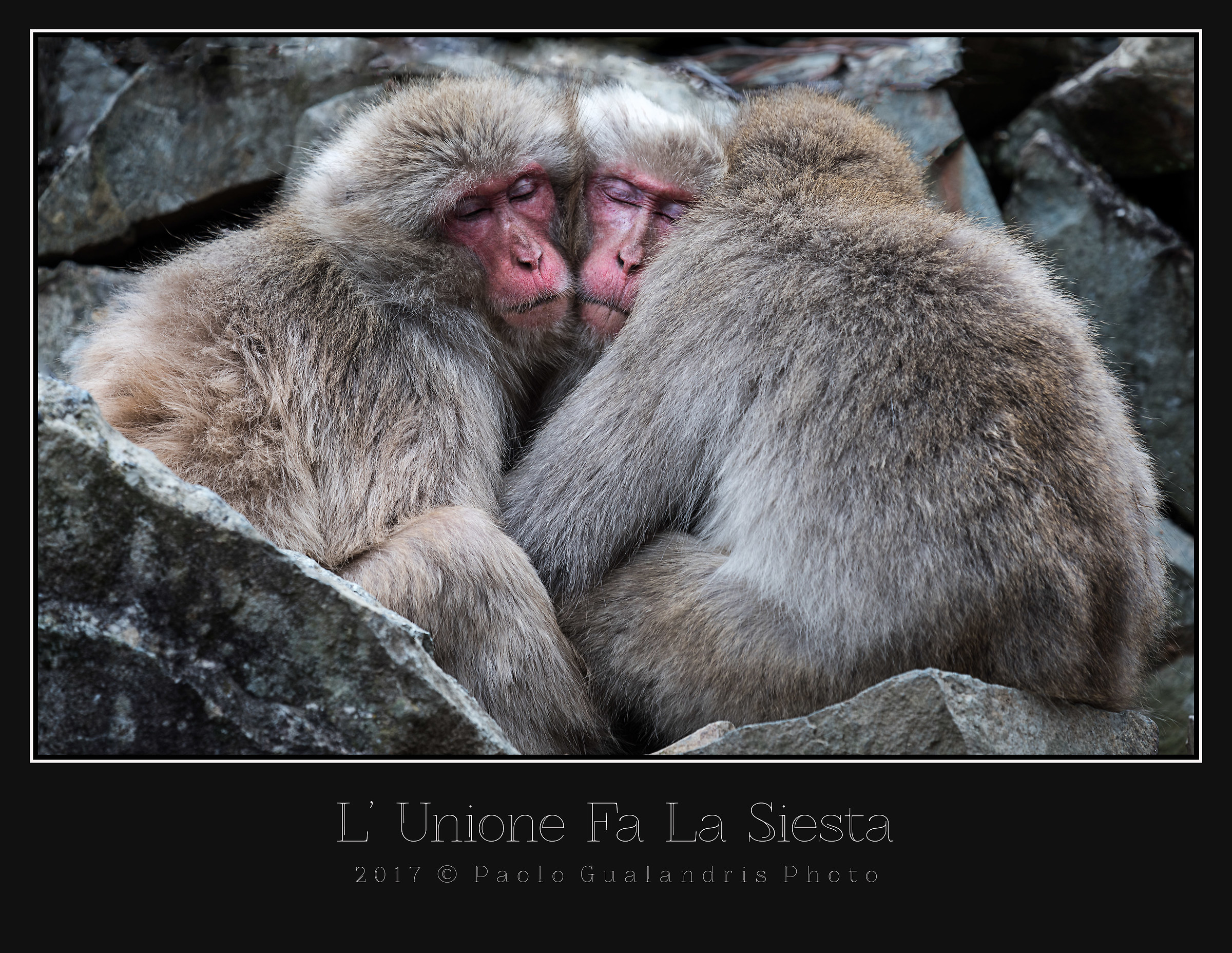 L'unione Fa La Siesta
