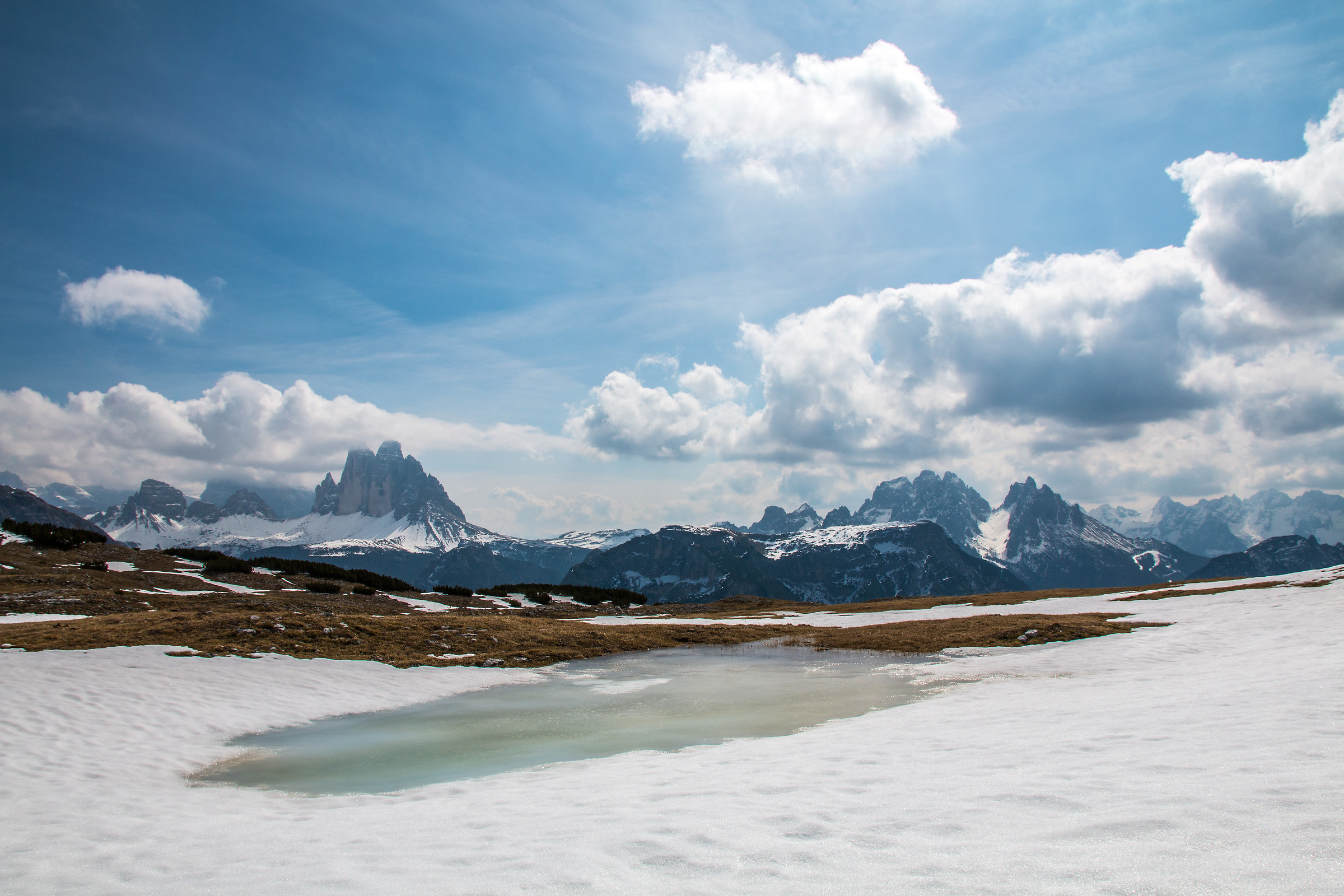 Dolomites mountain species, South Tyrol