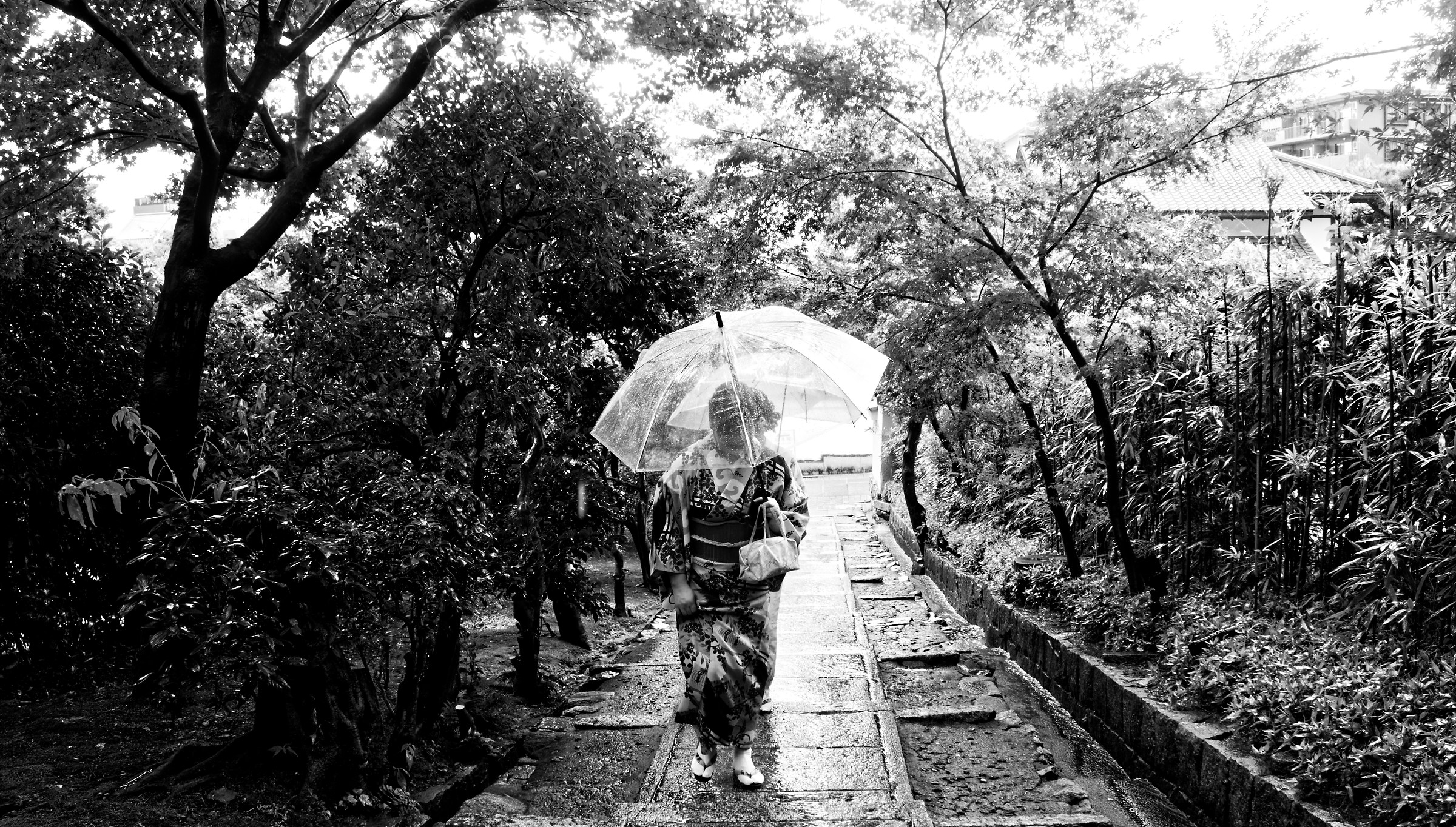 Kyoto Rain - Japan