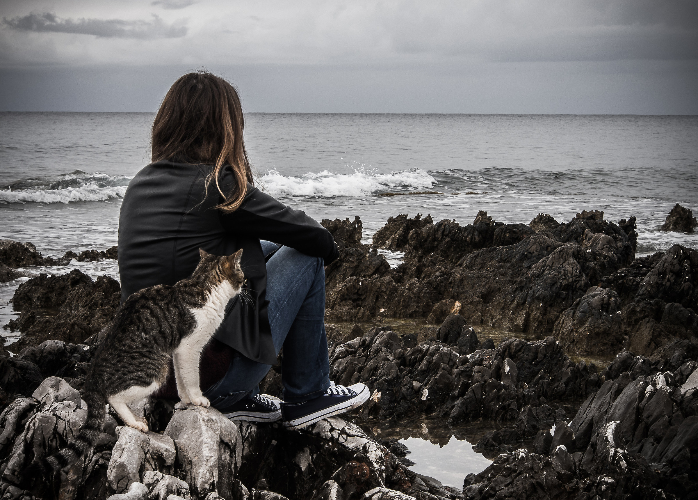 La ragazza e il gatto