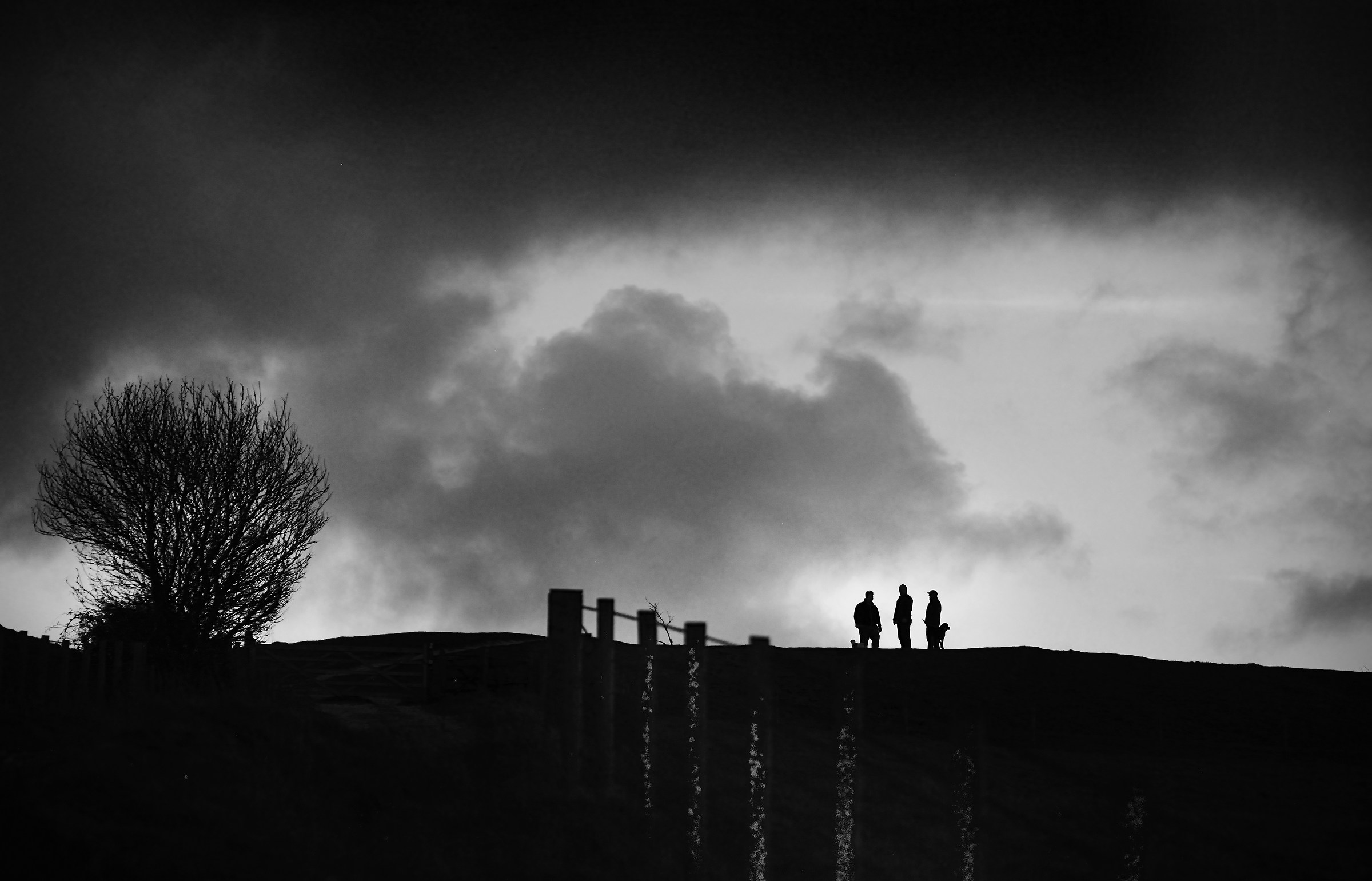 Meeting Up at the Viewpoint, with the Dogs