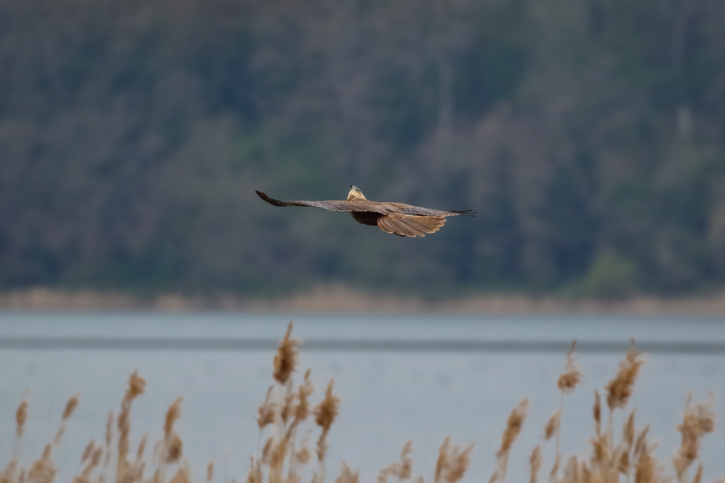 But who is this break ...