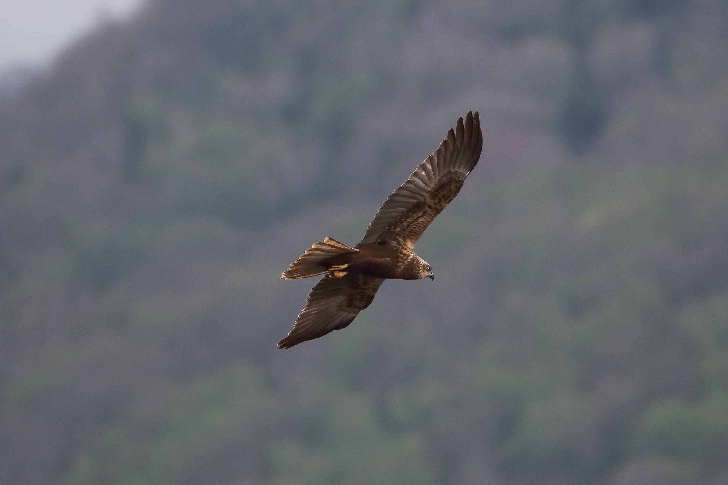 Meglio Cambiare Zona