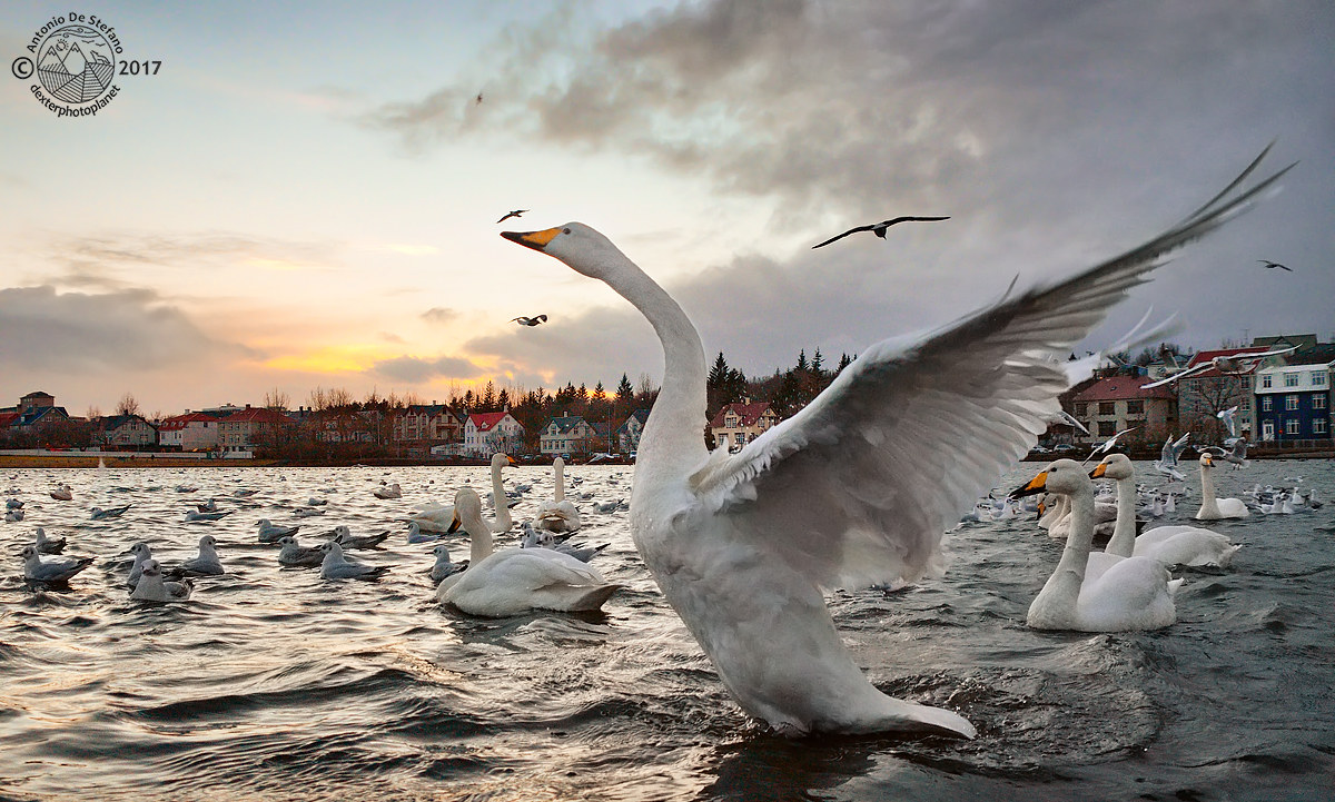 Un applauso al tramonto