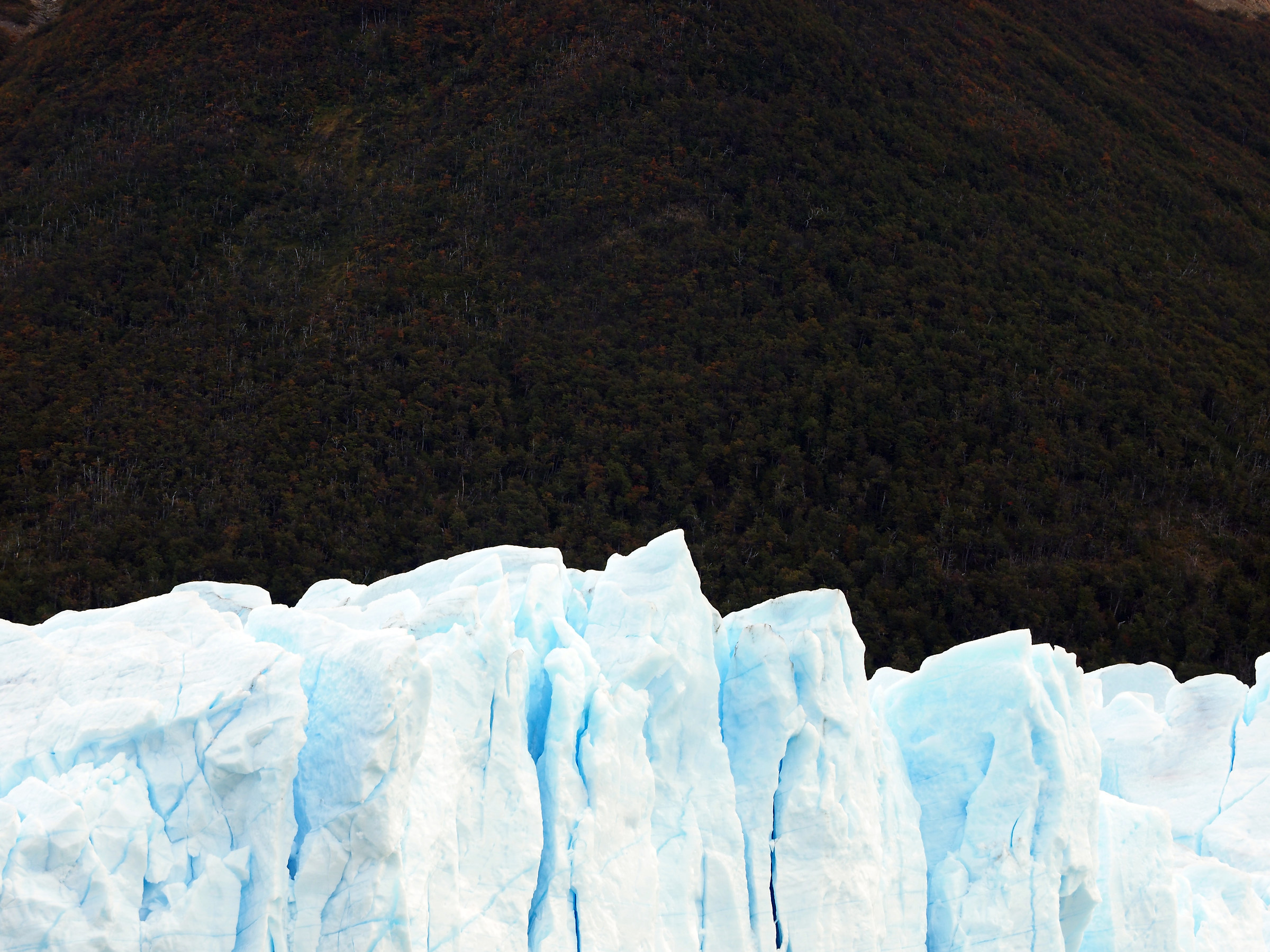 Perito Moreno from brazo rico II