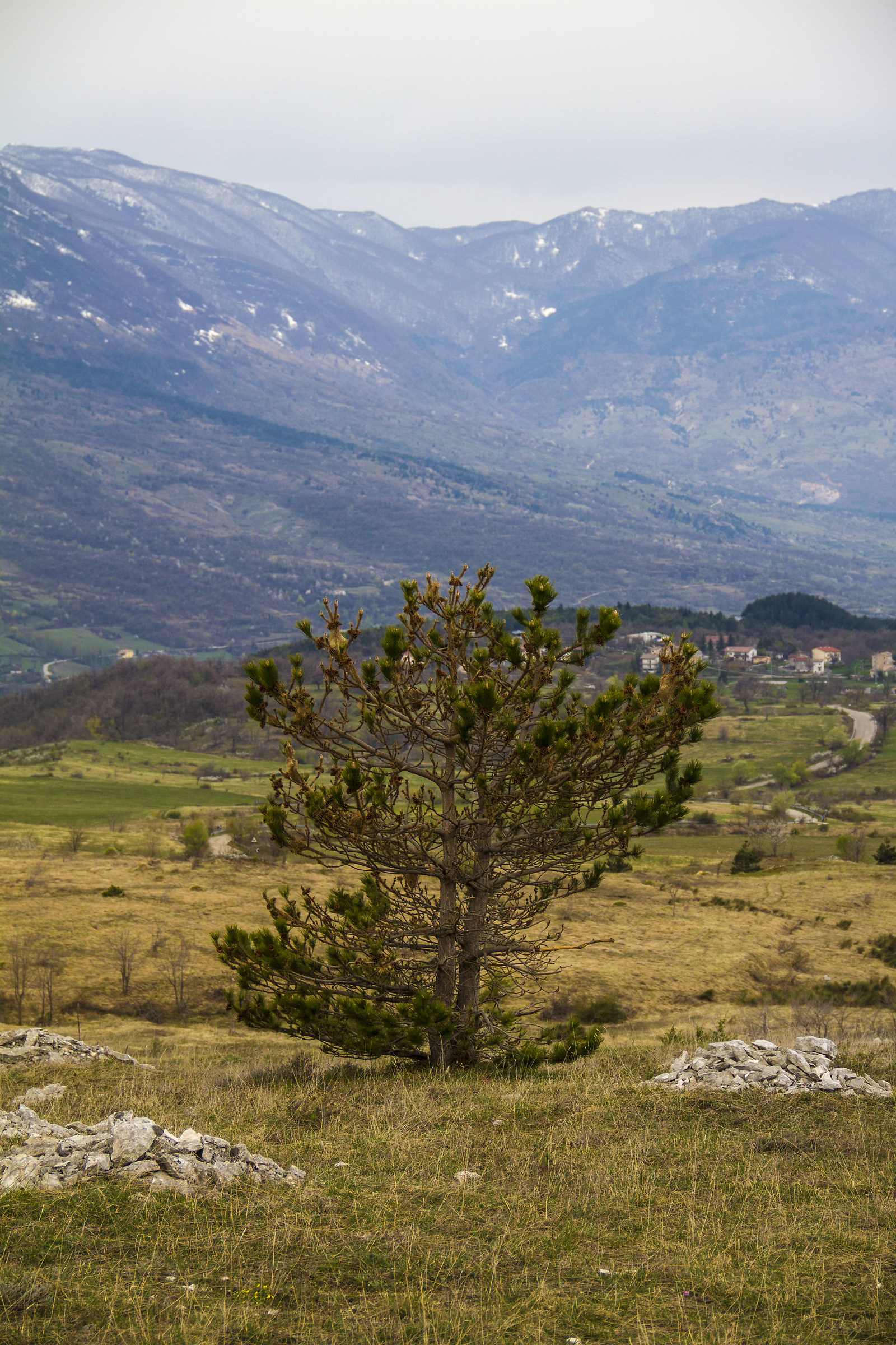 the solitude of the mountains