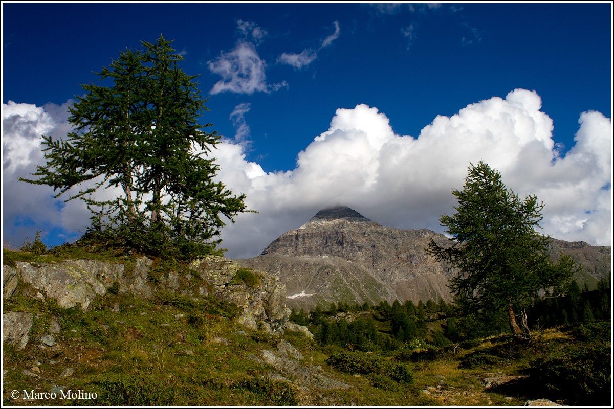 Valmalenco - Lace Ladder