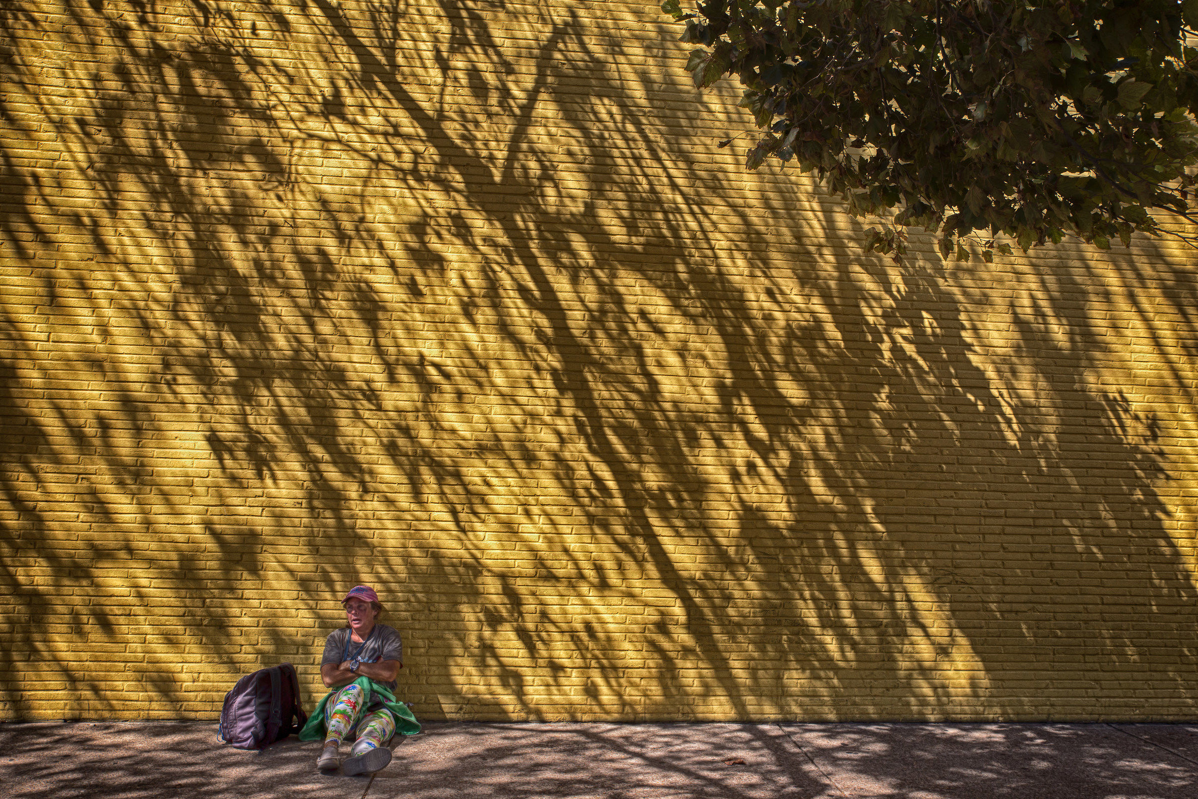 Virginia Beach, 2016