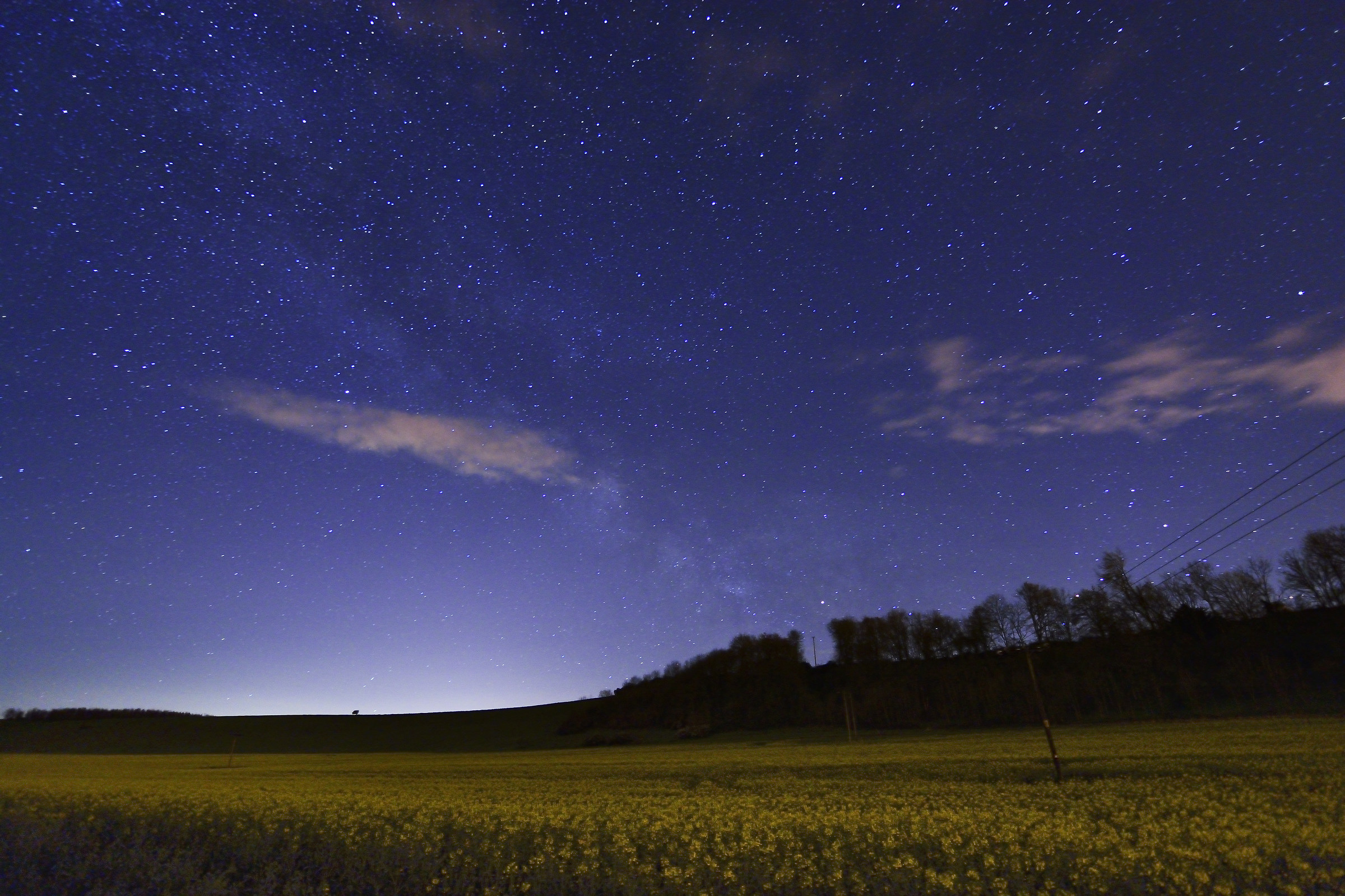 Hint of Milky Way above the Rapeseed