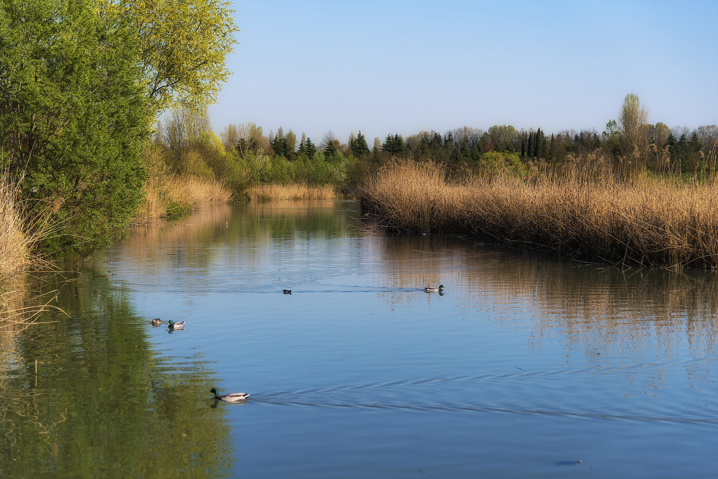 Spring ... Start ...