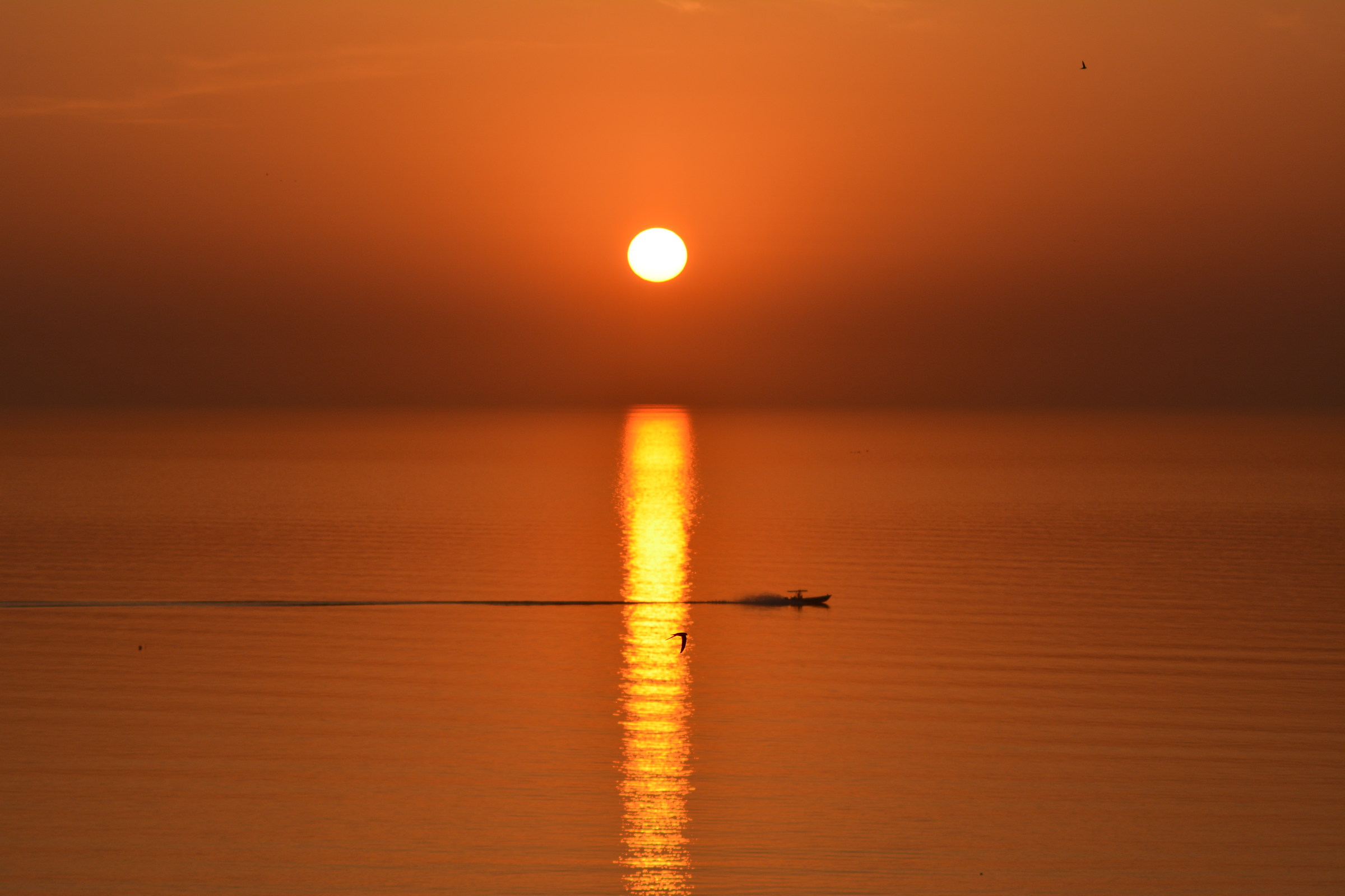 Alba nel Golfo Arabico mare
