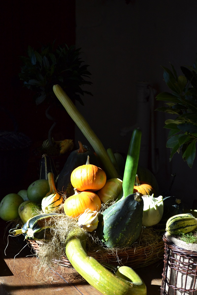 Omaggio a Caravaggio