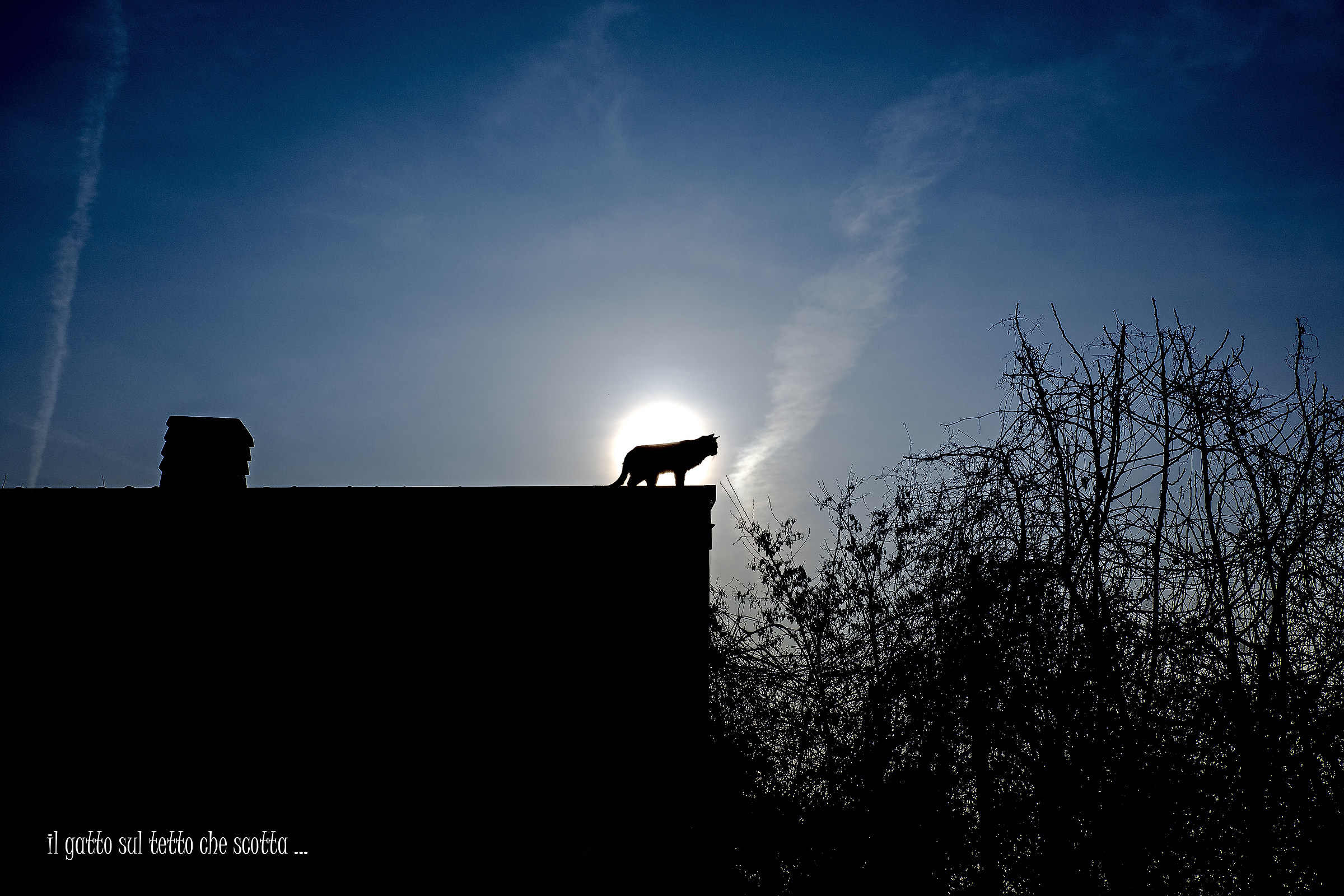 Passegiatina mattutina ...