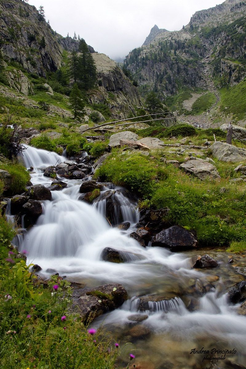 Alpi Marittime - Valle Gesso