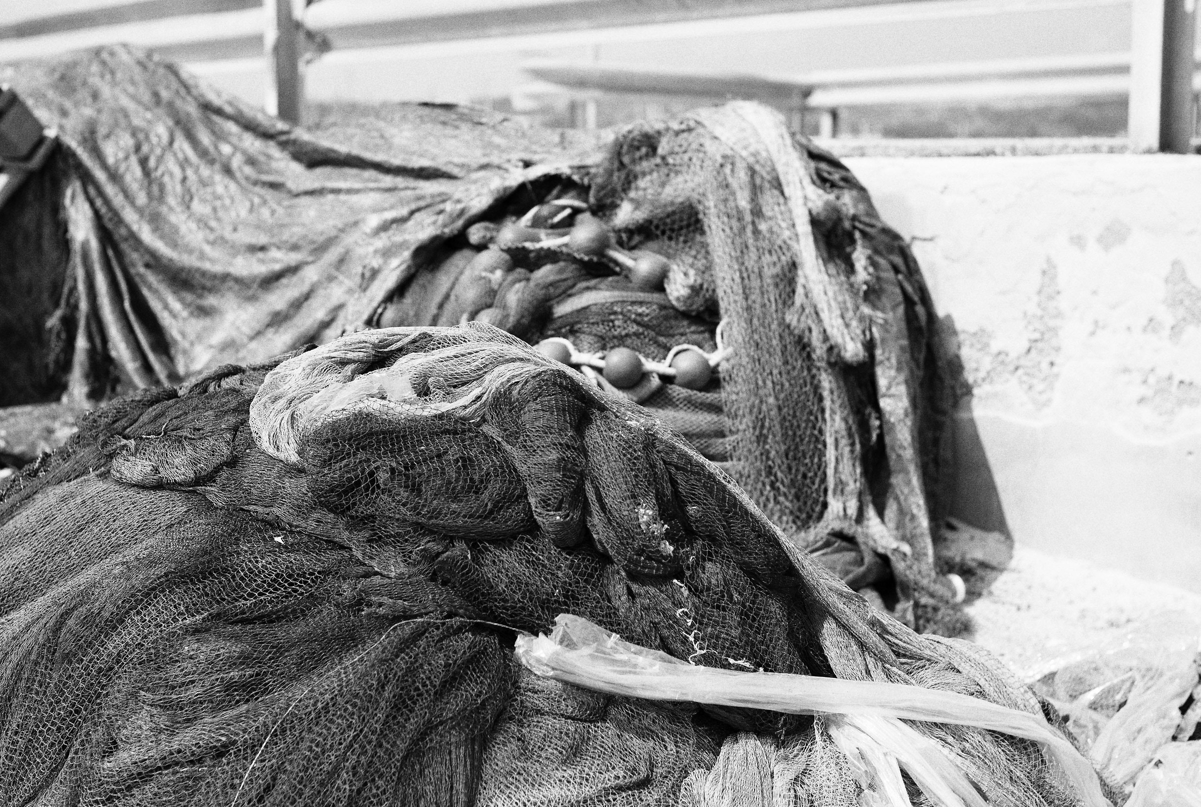 M8 + Nokton 40mm f 1.4