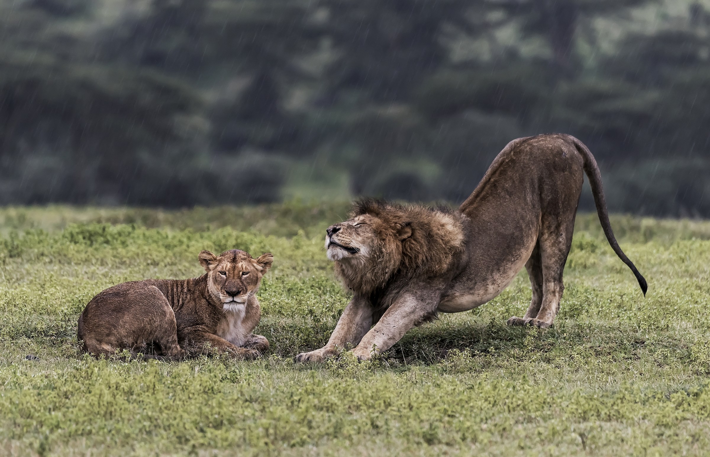 Tanzania 2017 - Sotto la pioggia