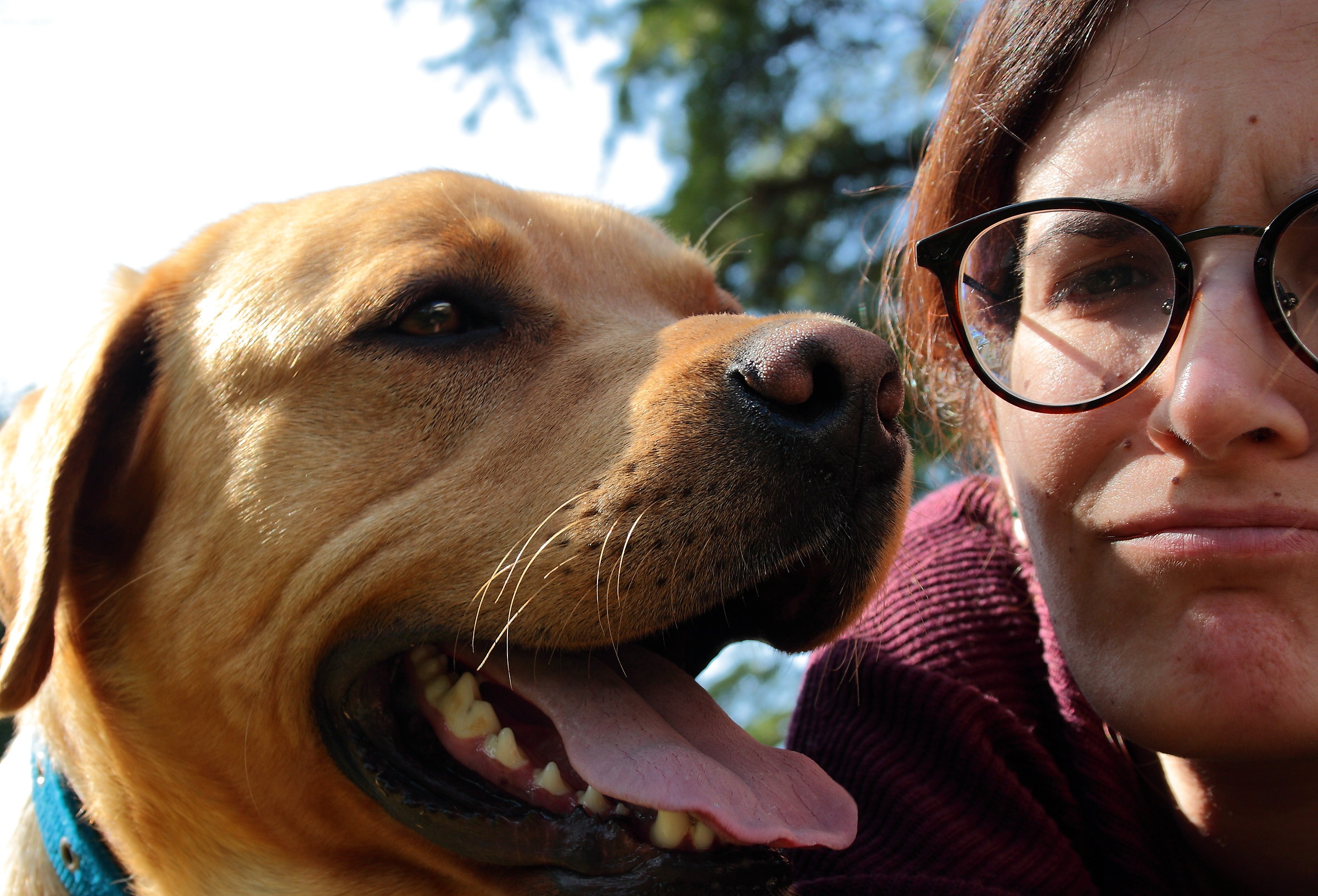 Sei a casa finalmente! ( autoscatto )