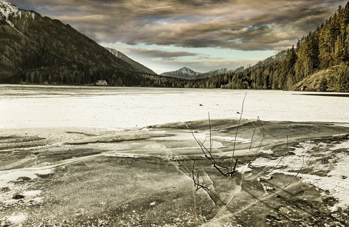 tight in the grip of frost