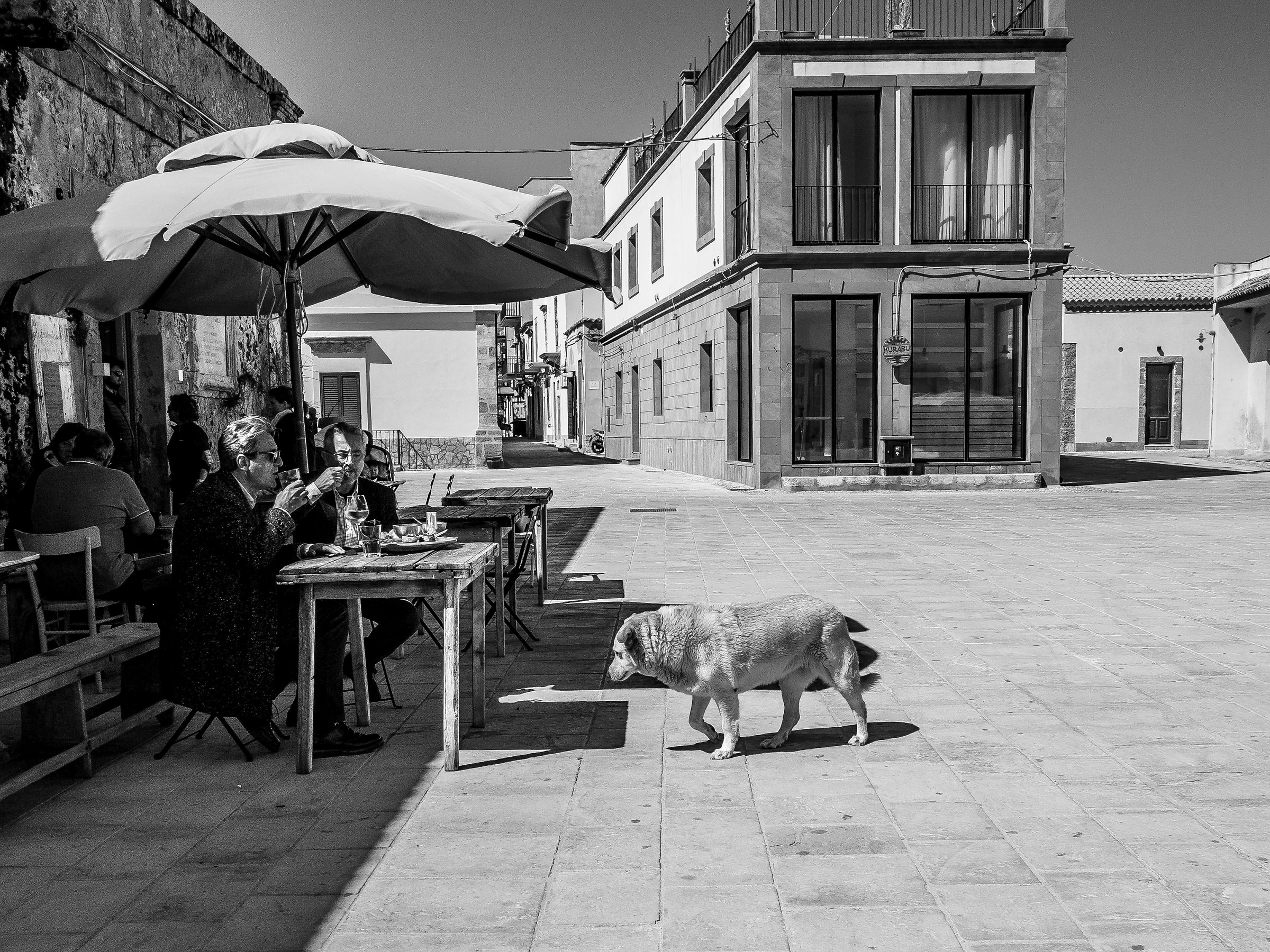 Adottato dalla piazza...
