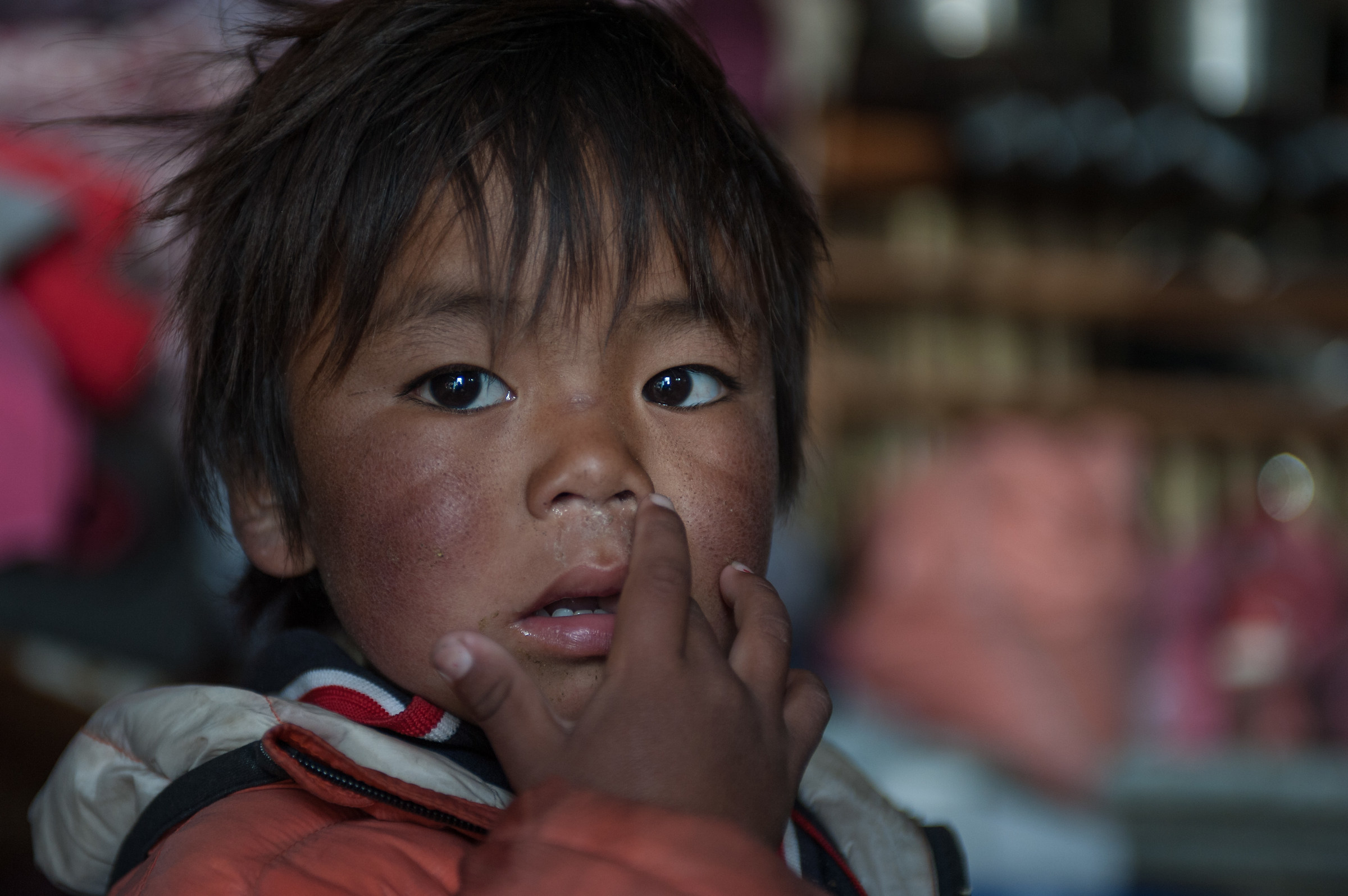meetings Kyanjin Gompa (Nepal)