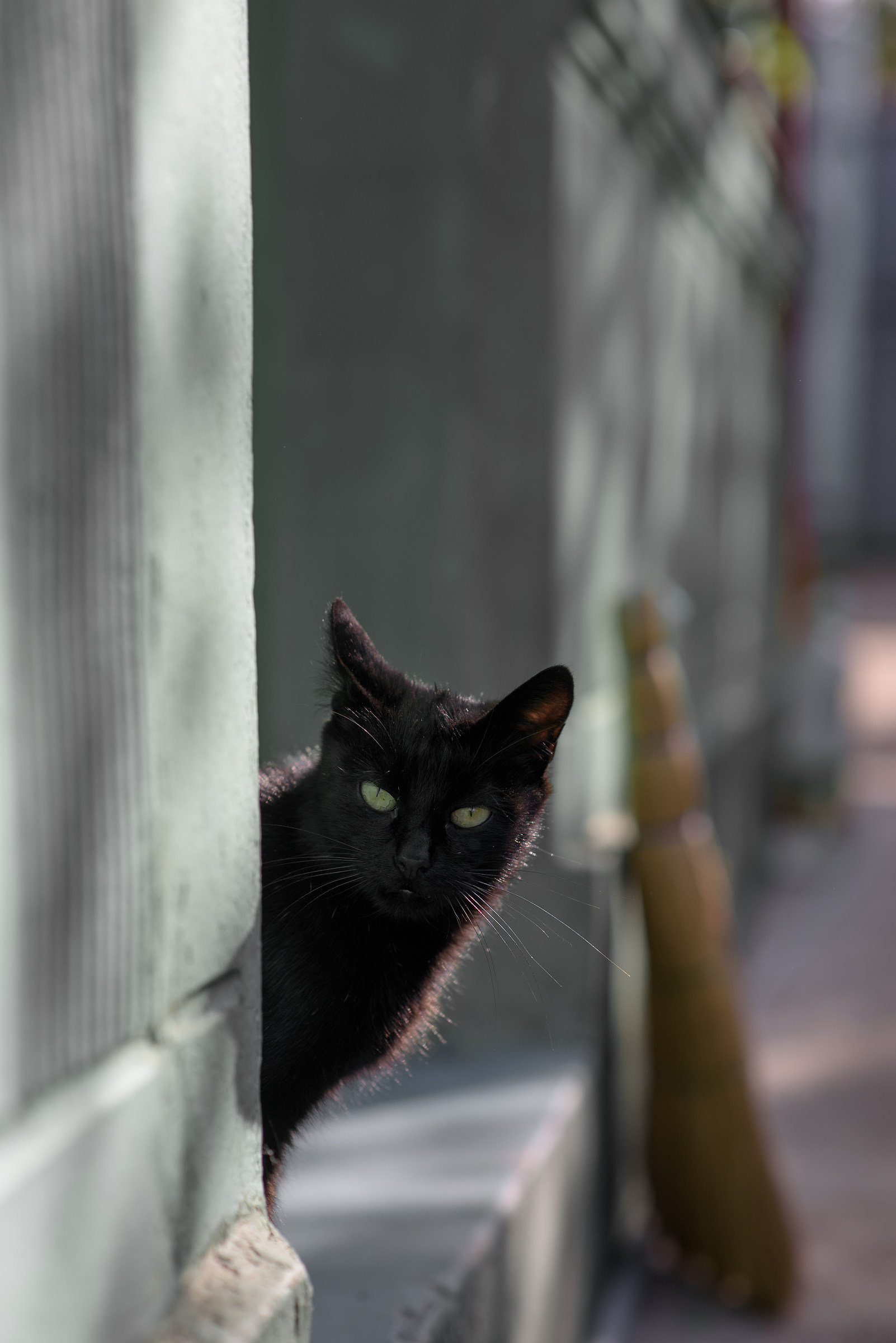 Are u watching me?!...