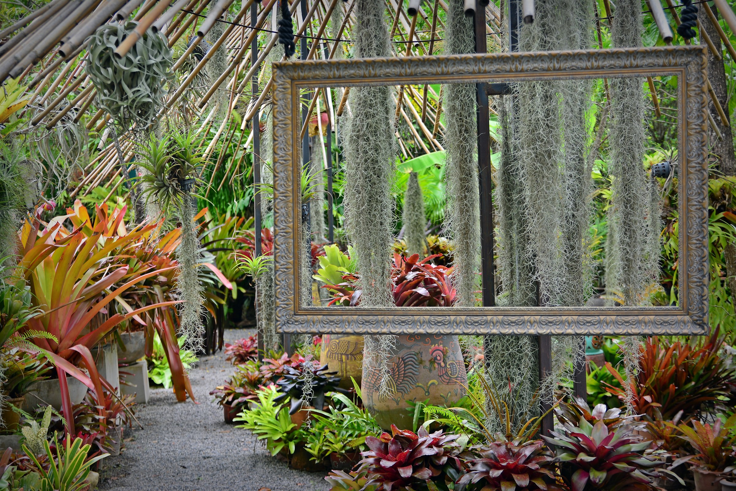 It incornici the charm