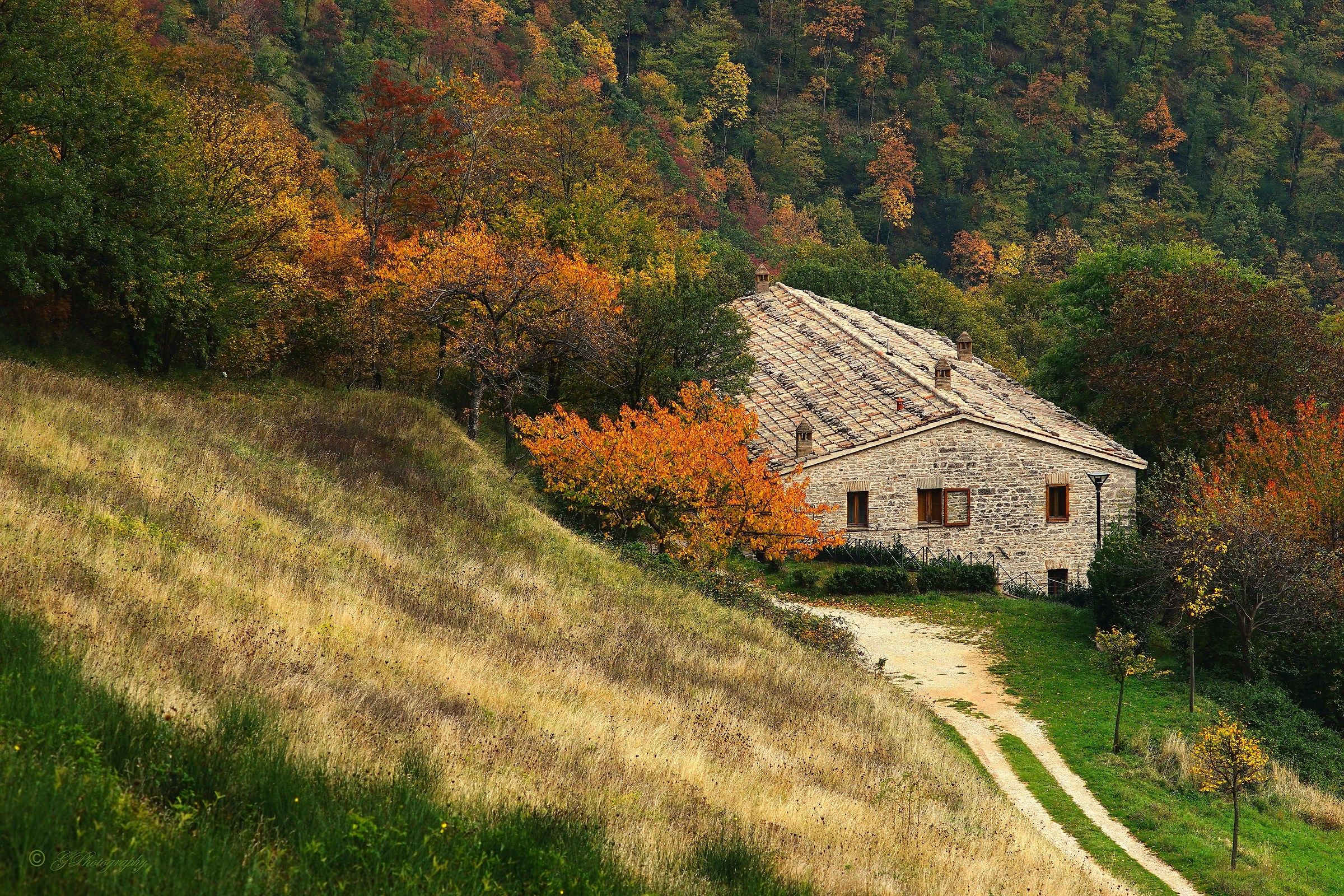 La Casetta nel Bosco