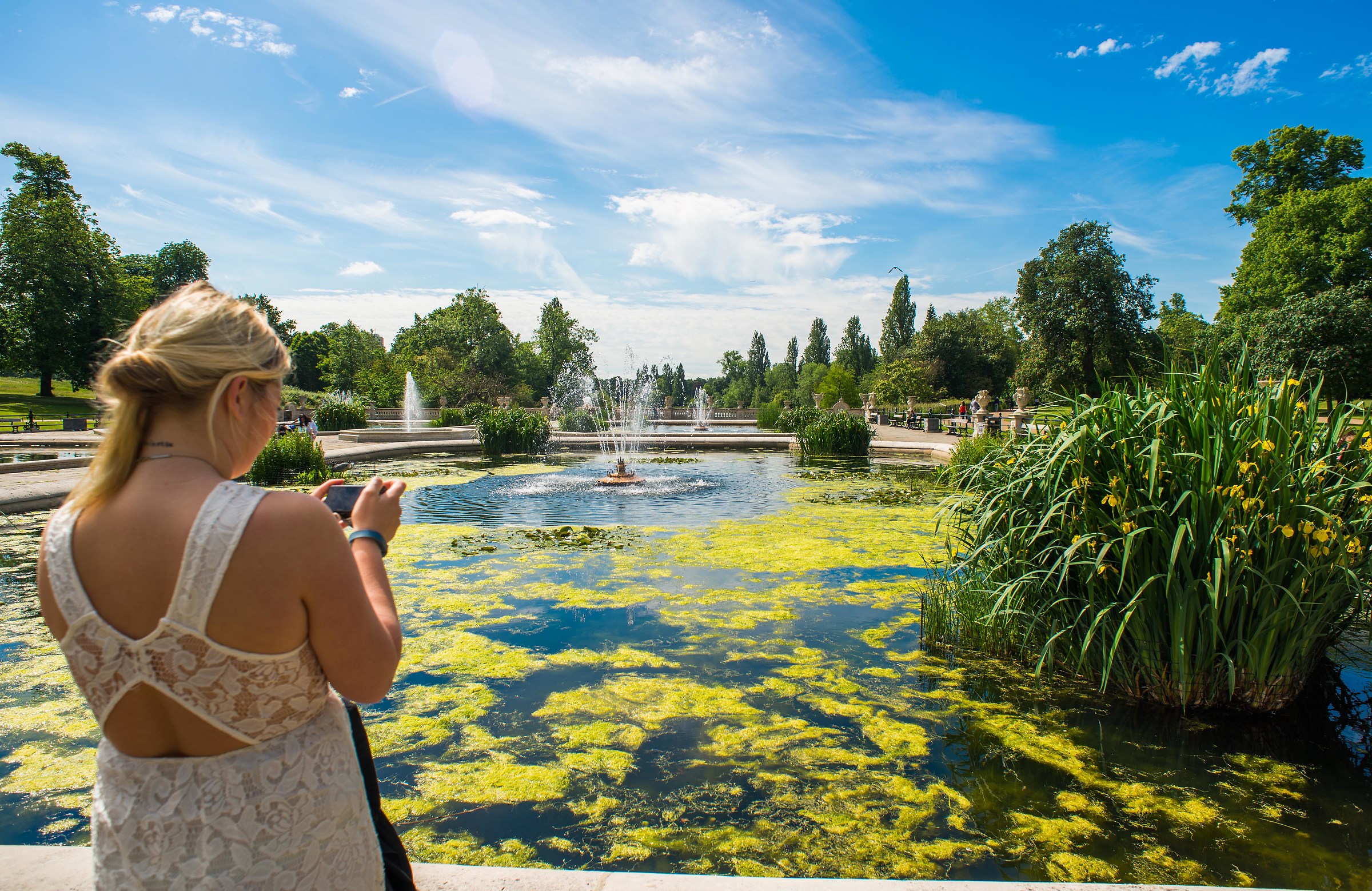 London Hyde Park in June 2015