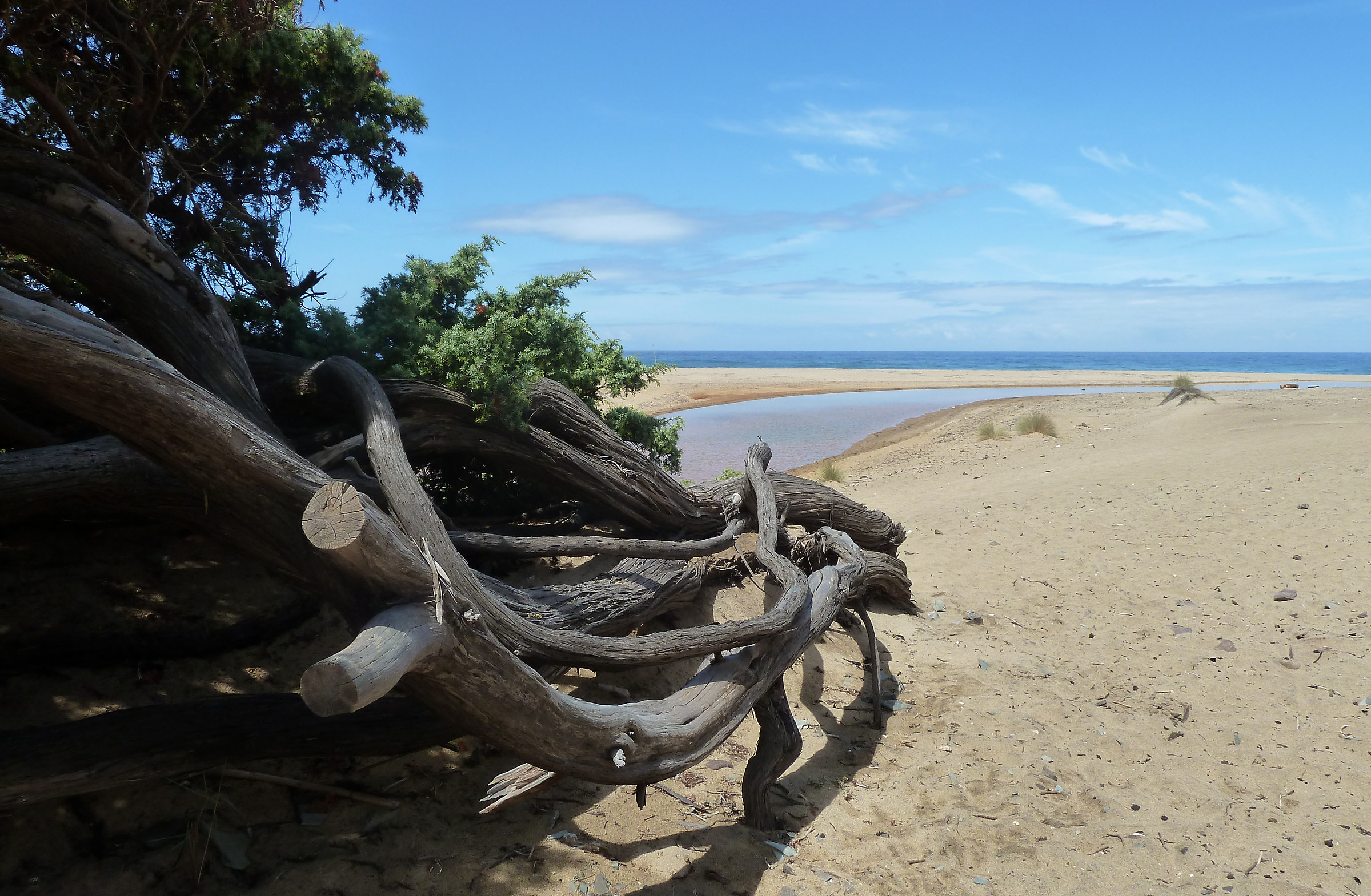 intrecci sulla spiaggia