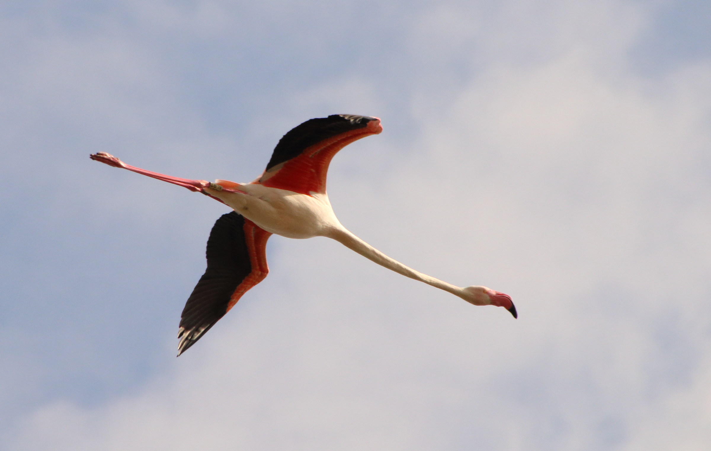 in mezzo alle nuvole