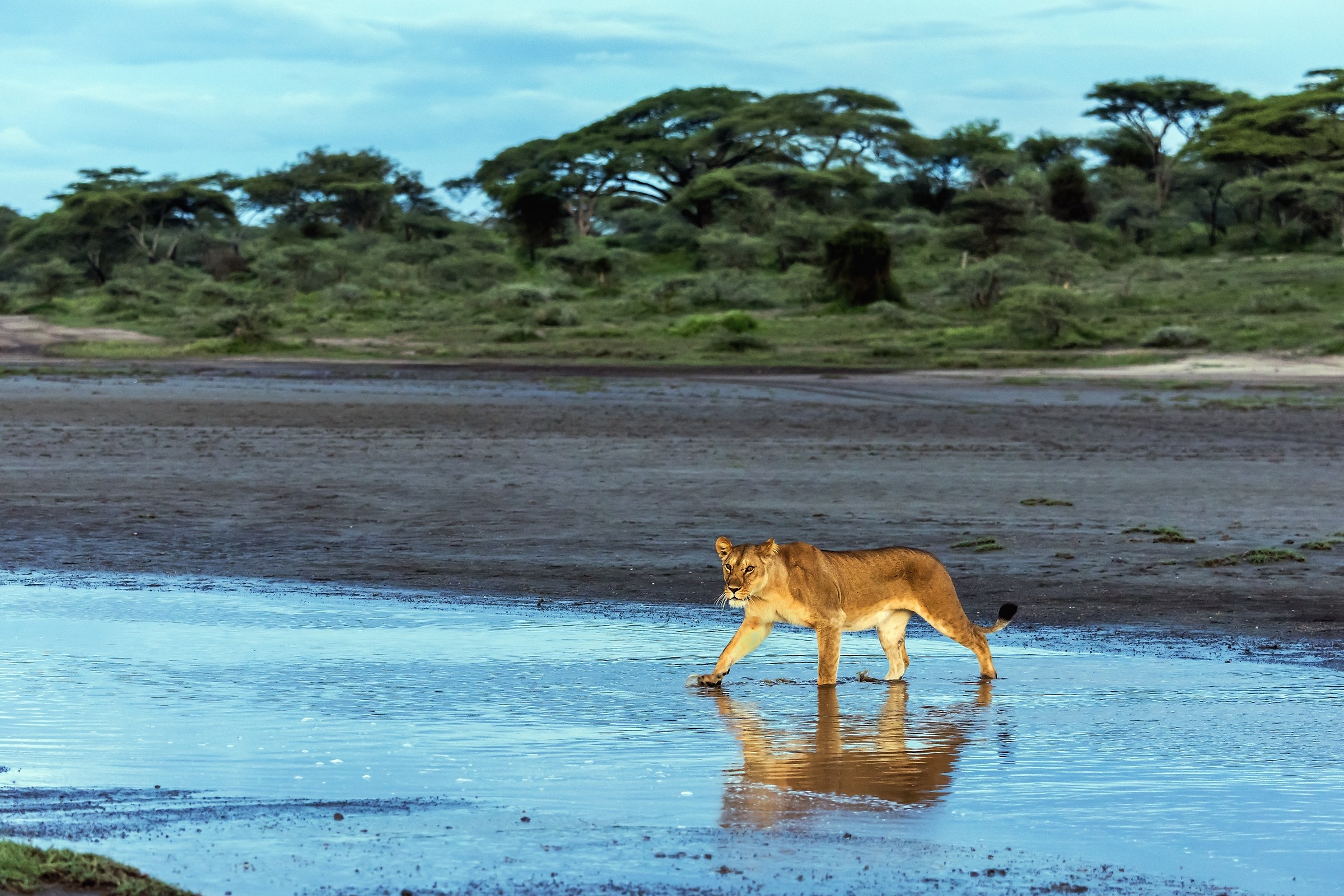 Tanzania 2017 - Crossing