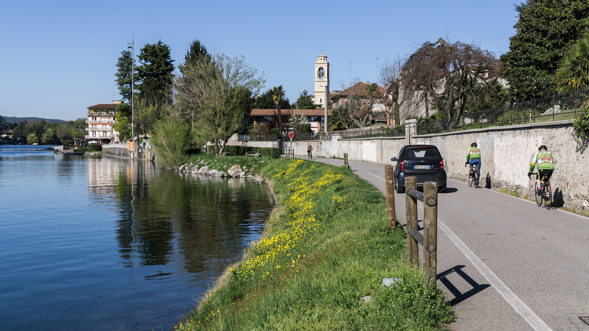 Morning of April with buttercups bloom - 2