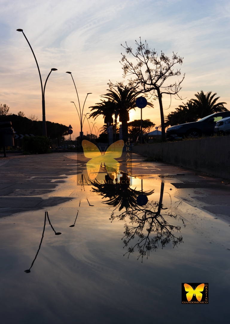 reflection Rossanese