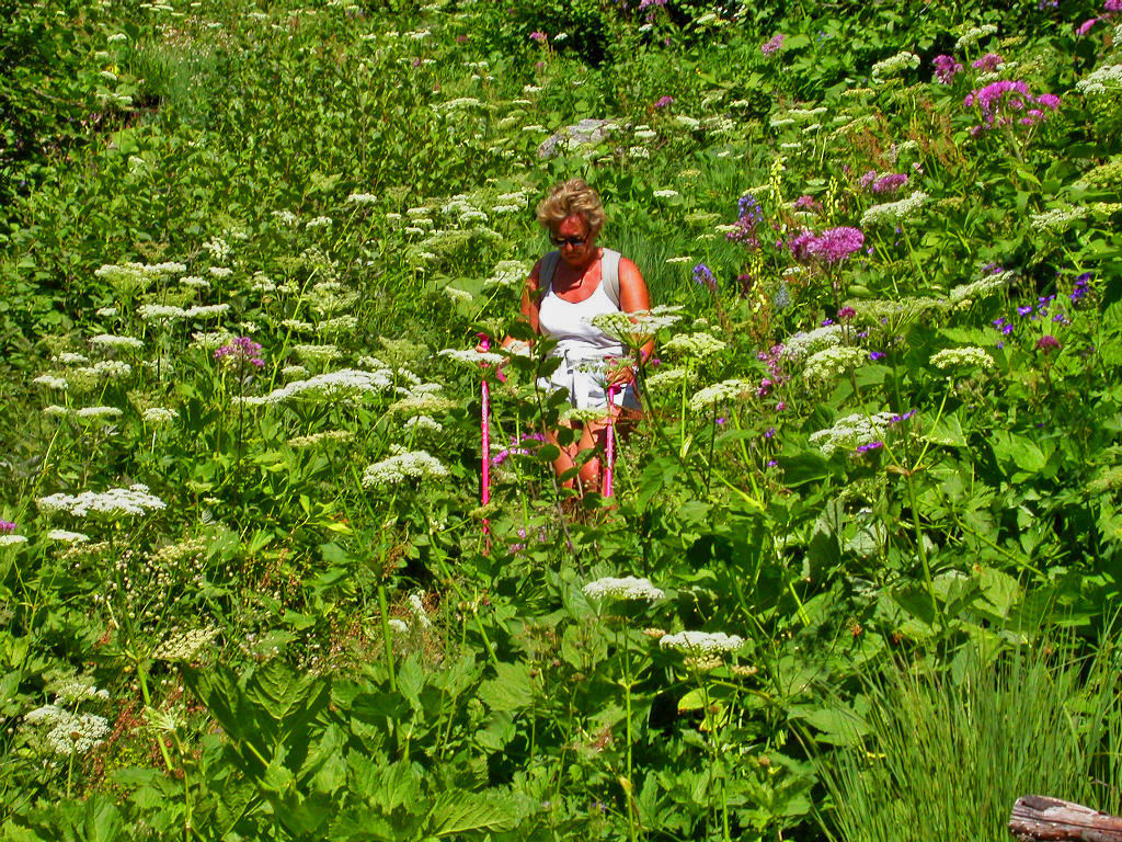 Val Grisanche Lug 2003