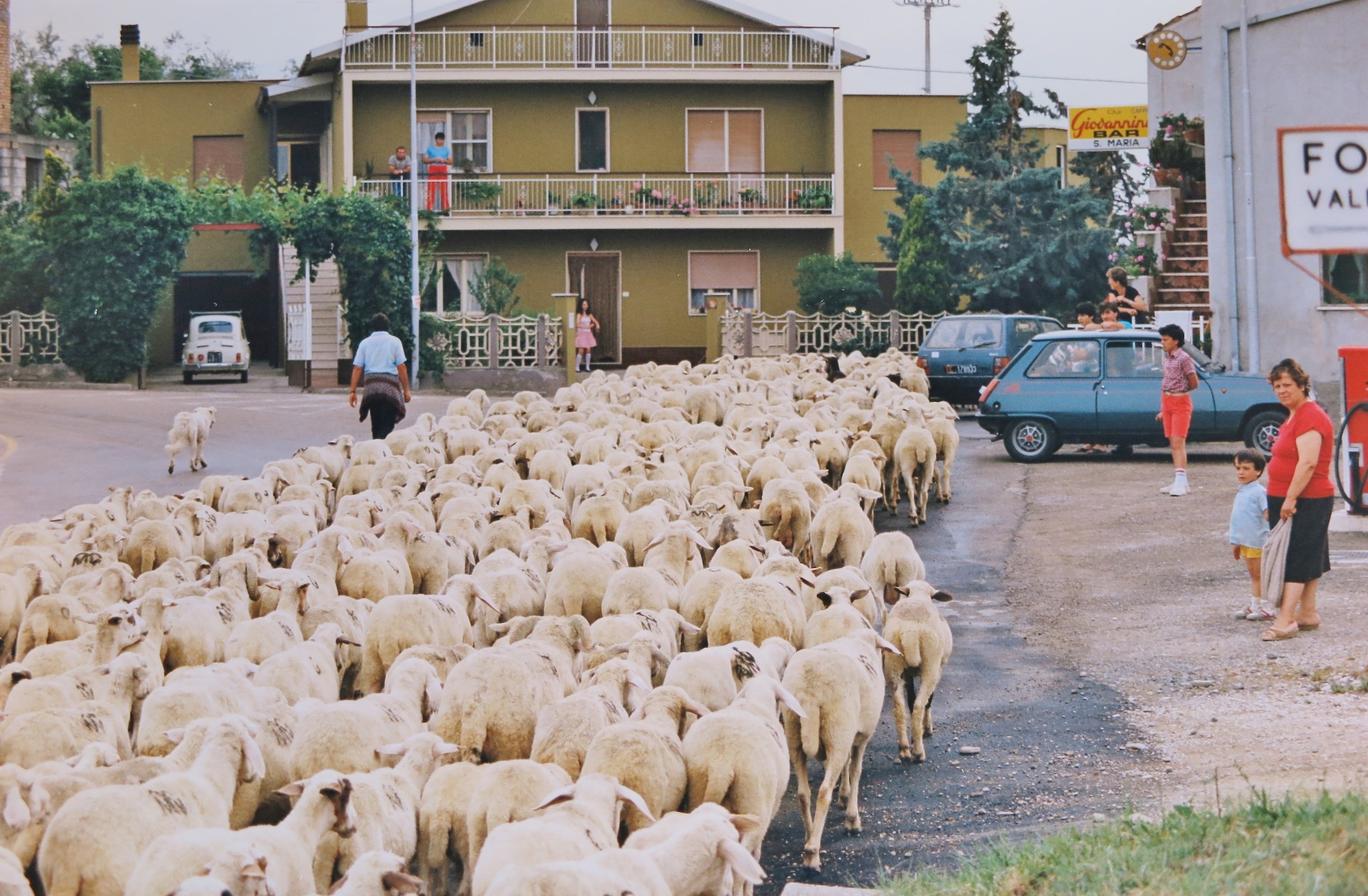 Passa il gregge, 1976 (?)