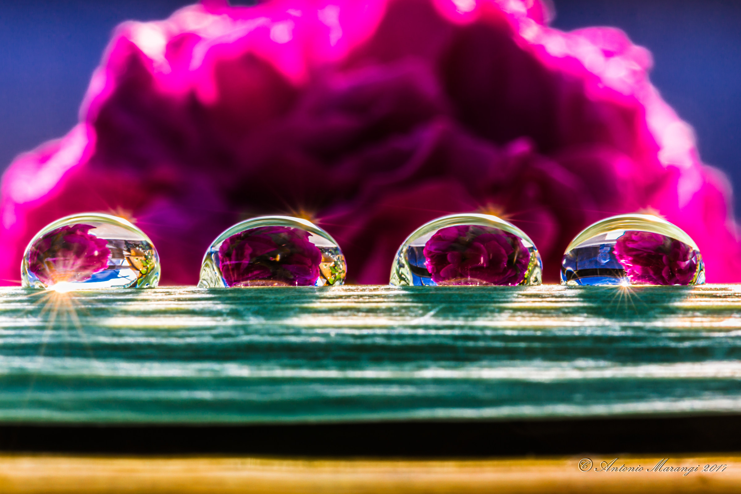 the sun on the drops