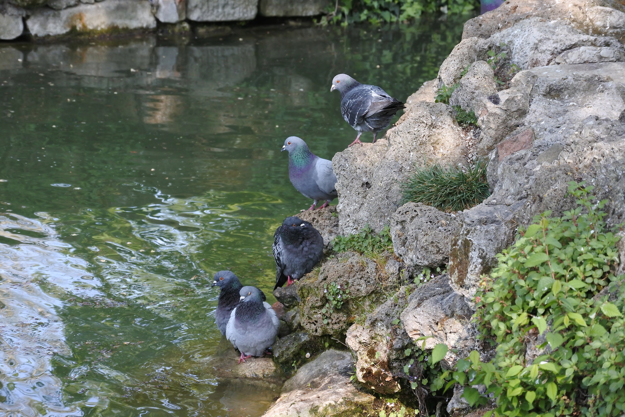 Allora, ci tuffiamo?