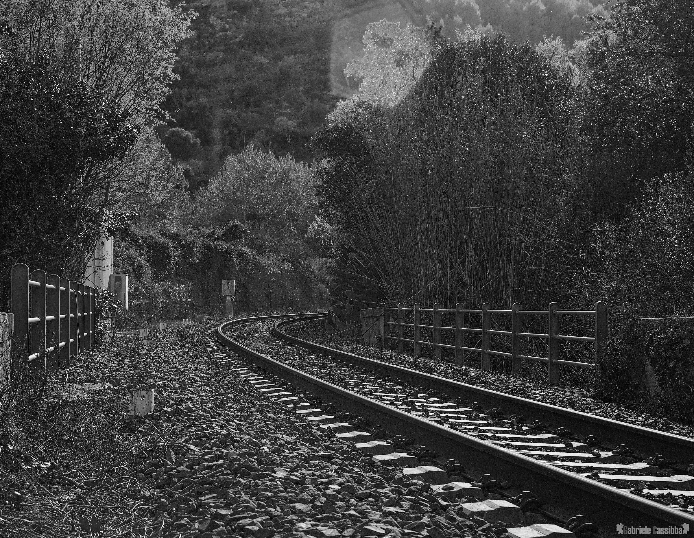 il silenzio senza il treno