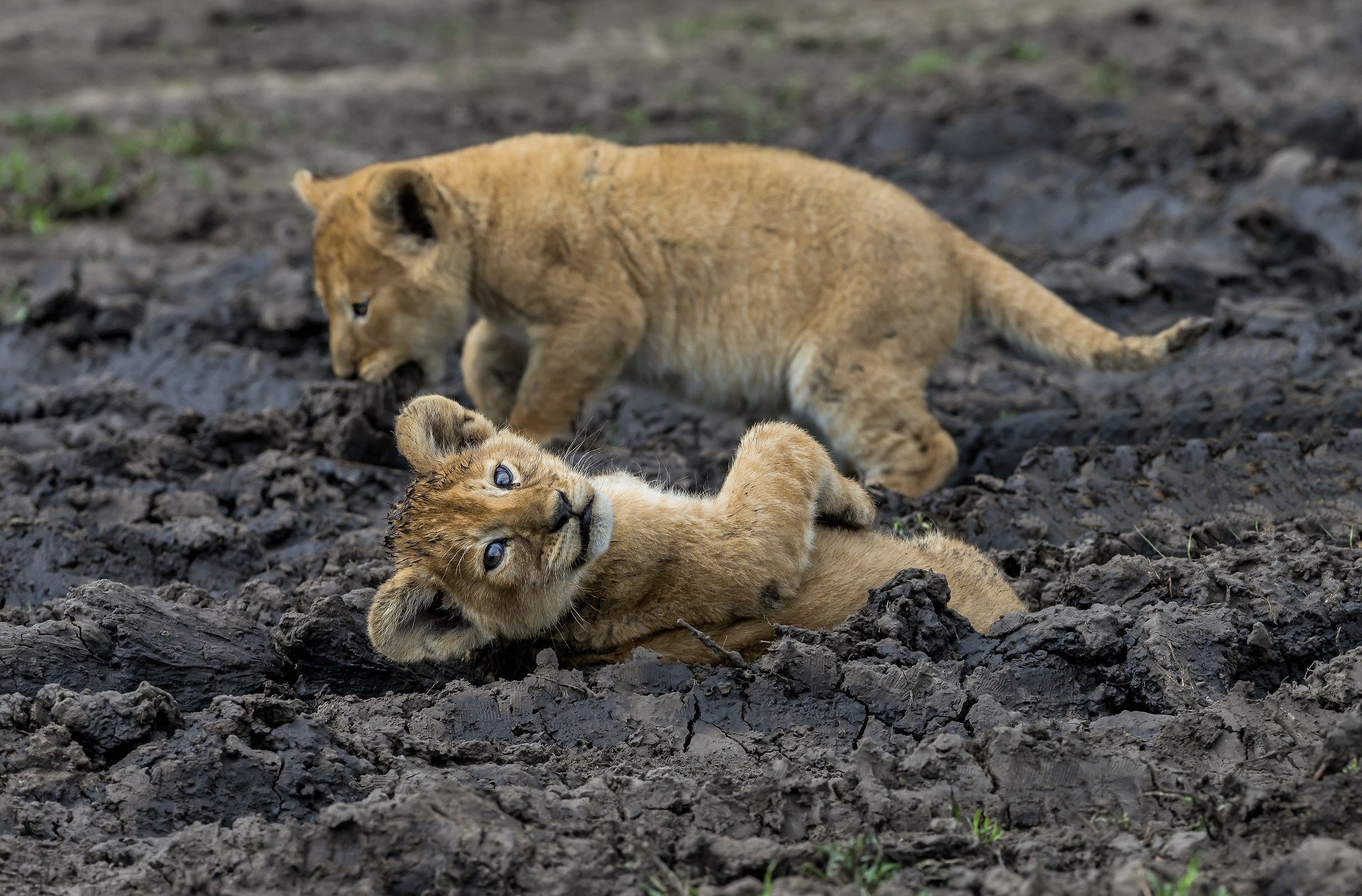 Tanzania 2017 - Lo sguardo
