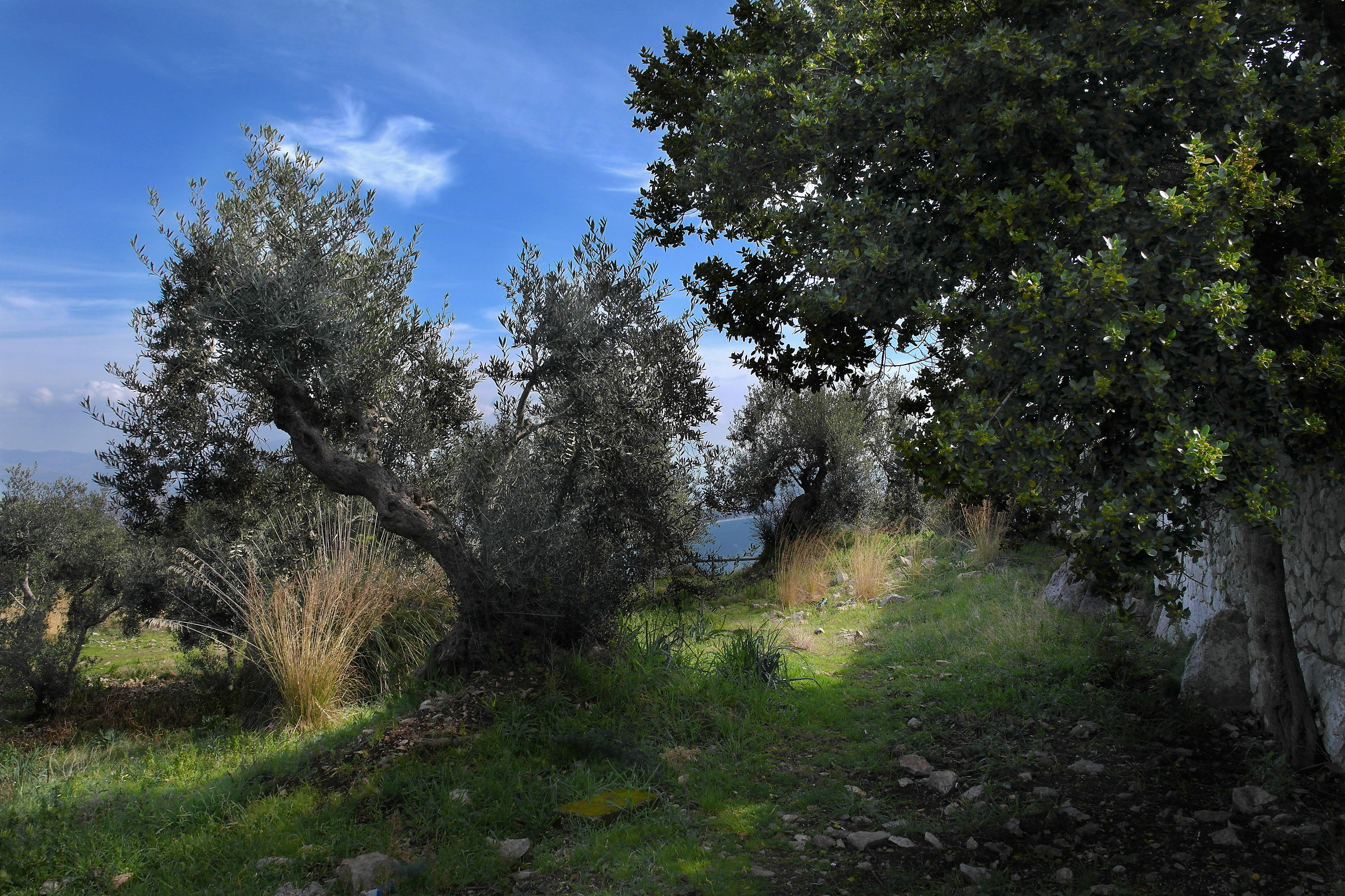 Mediterranean glimpse