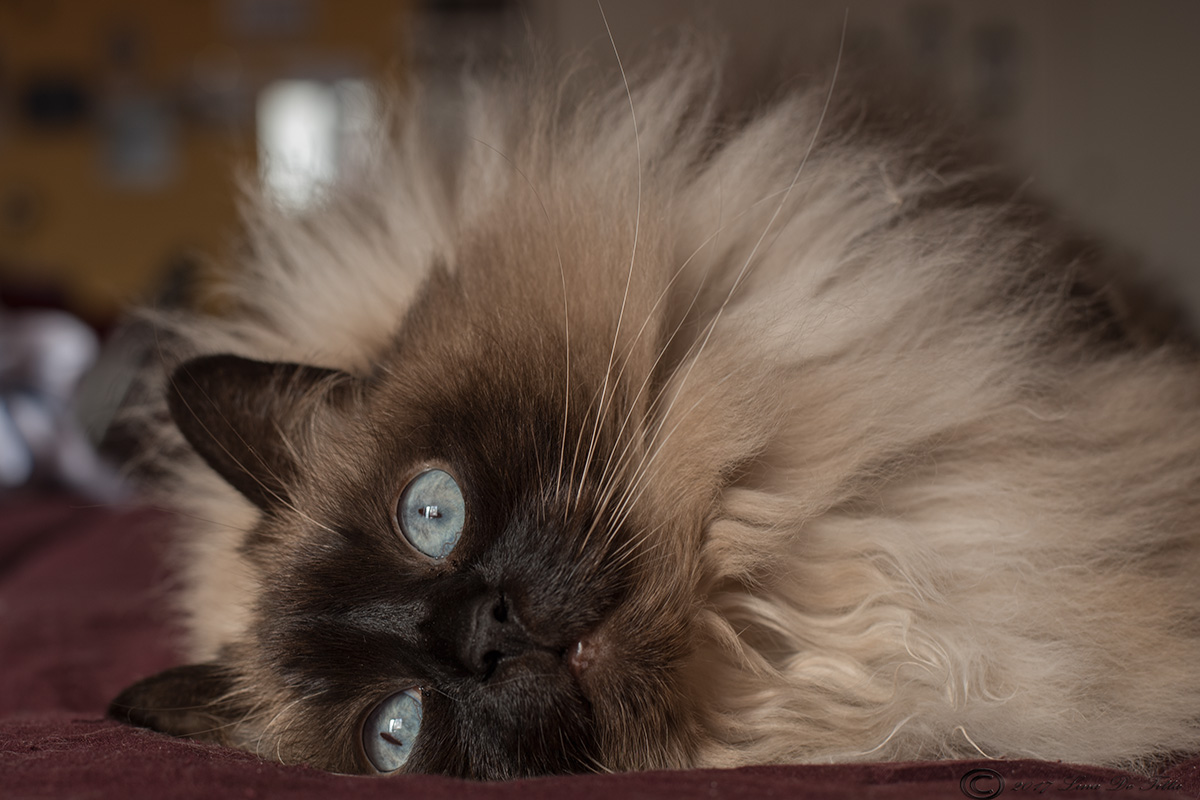 ...uno sguardo che incanta....