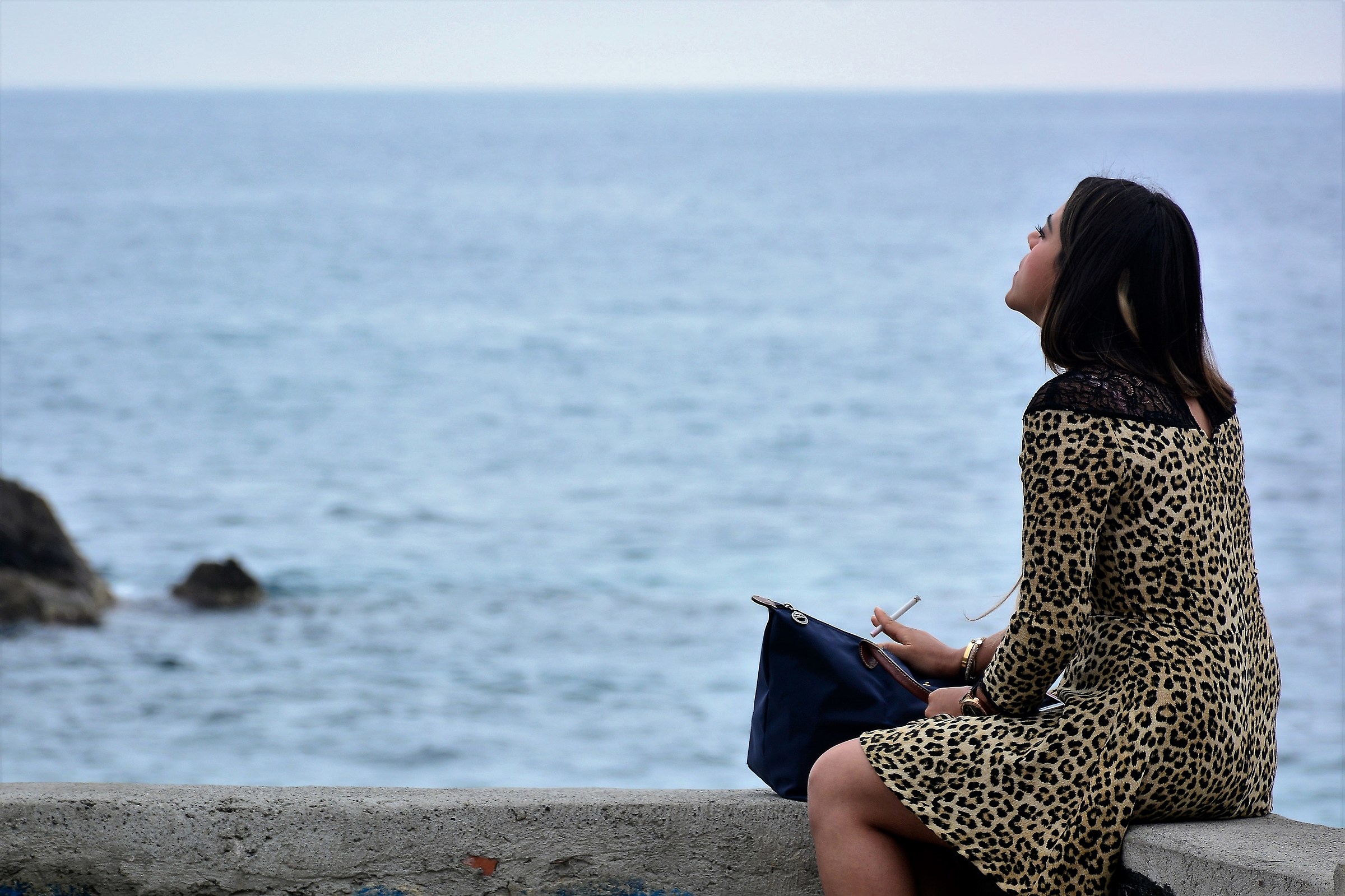 Panthera pardus maritimae