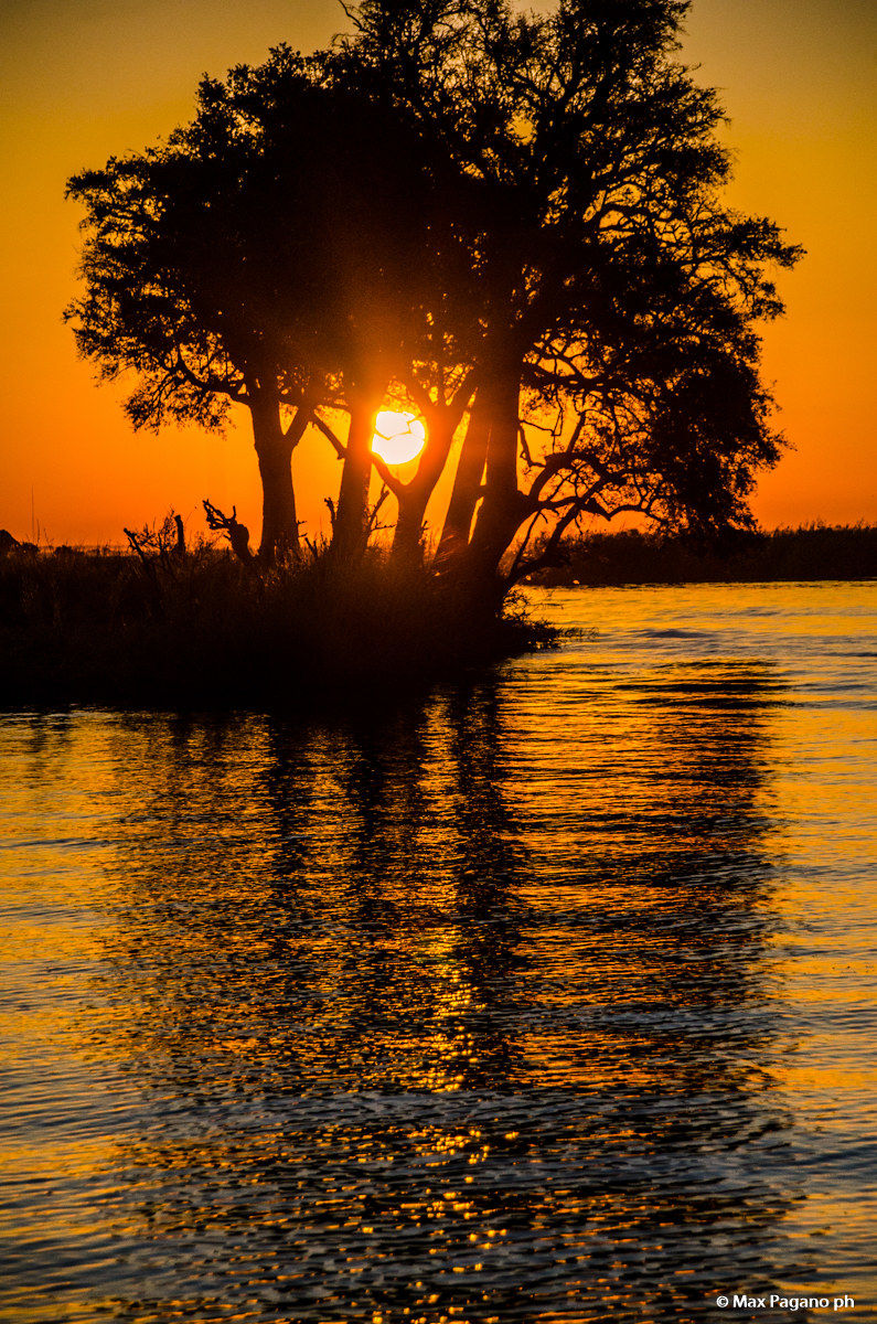 Botwsana, Chobe National Park