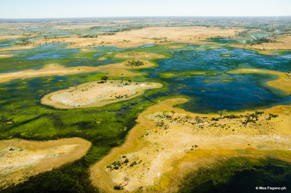 Botwsana, Chobe National Park