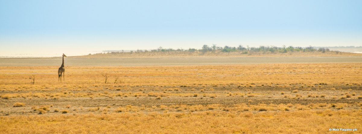 Namibia, Etosha PArk
