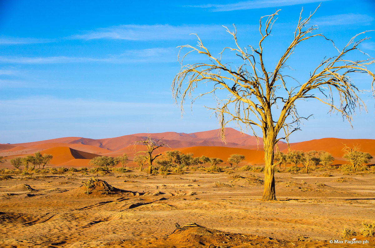 Namib Desert